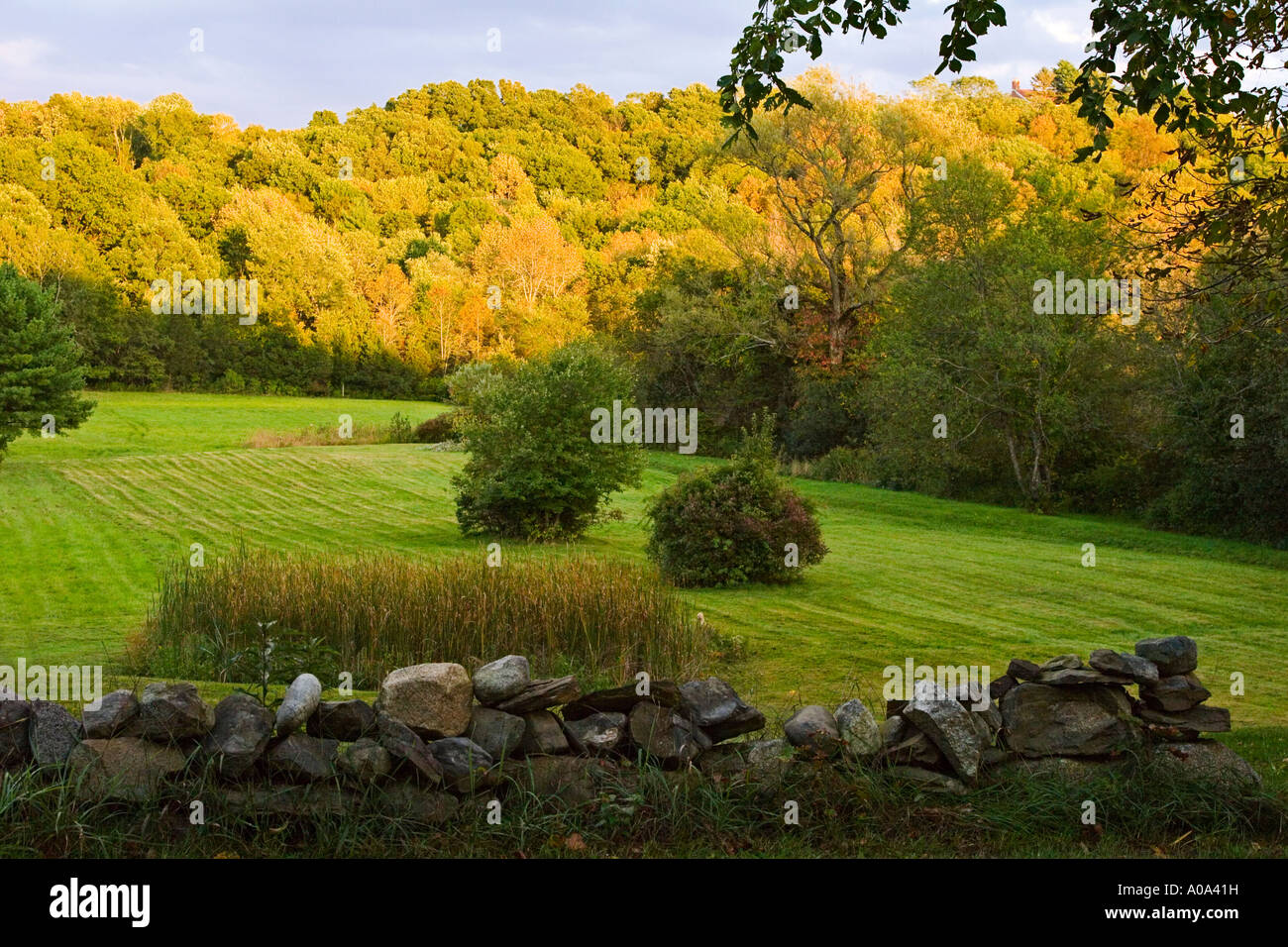 A New England meadow on an autumn afternoon Stock Photo