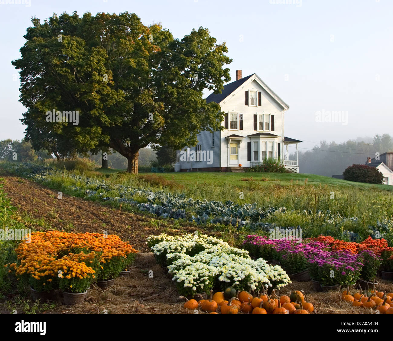 New england farmhouse hi-res stock photography and images - Alamy
