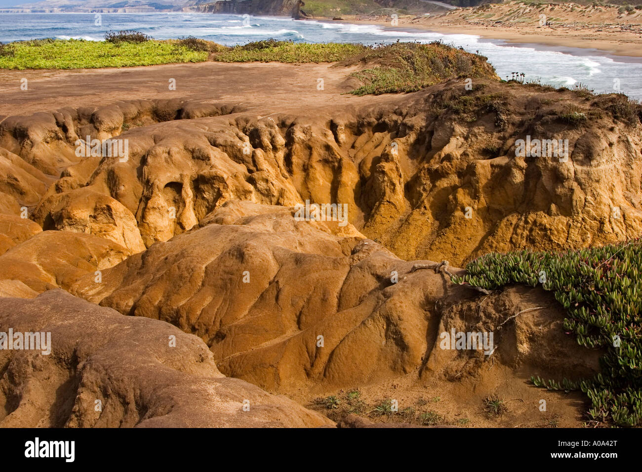 Erosional patterns on a rocky beach Stock Photo