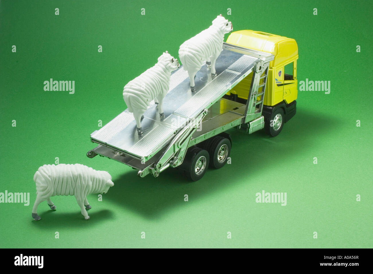 Livestock sheep lamb truck hires stock photography and images Alamy