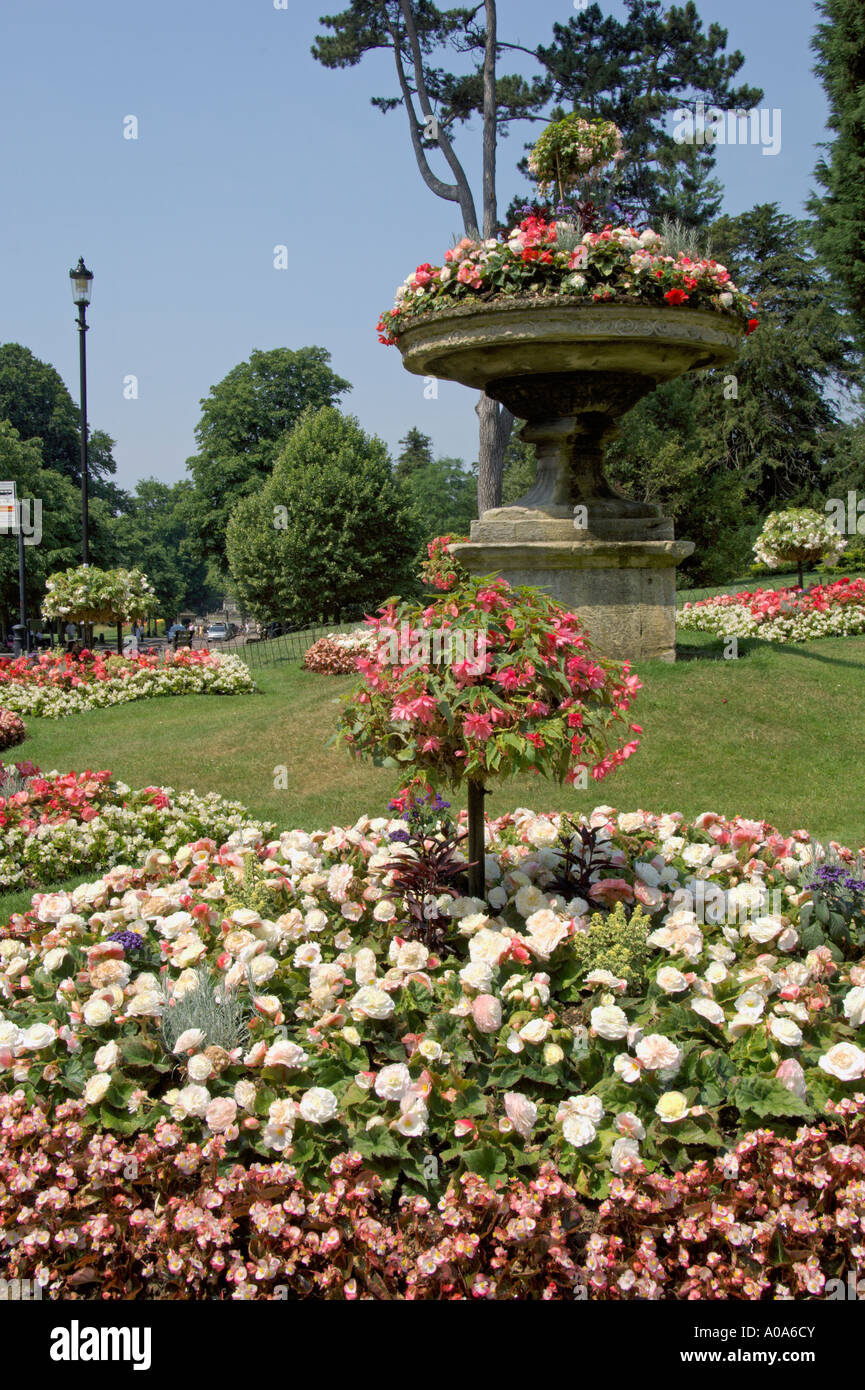 Royal Avenue Botanical Gardens Bath Somerset England Stock Photo - Alamy