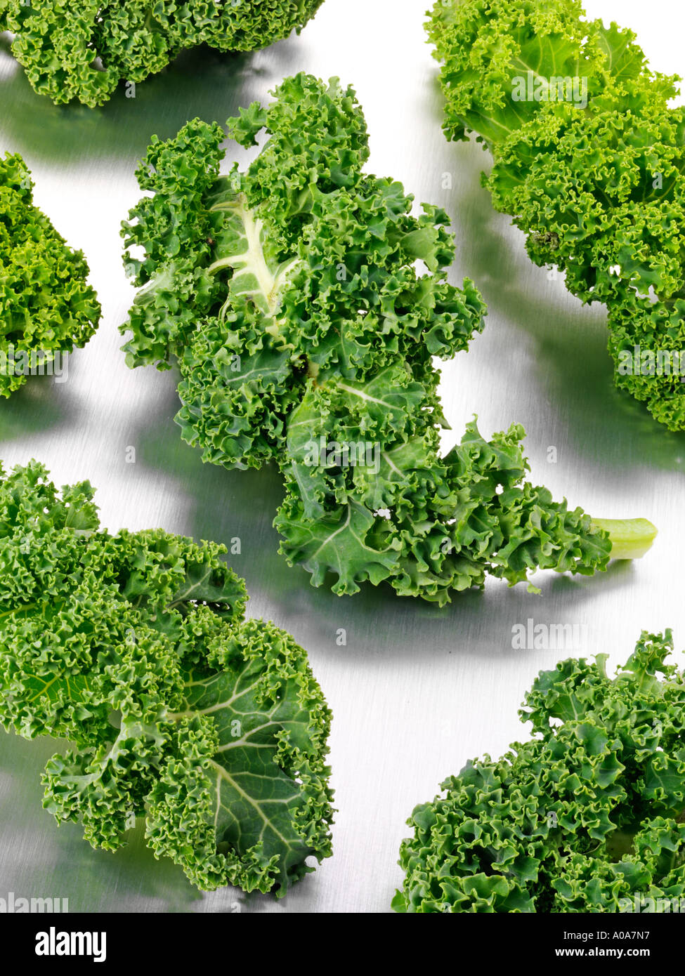 CURLY KALE LEAVES Stock Photo Alamy CURLY KALE LEAVES Stock Photo Alamy