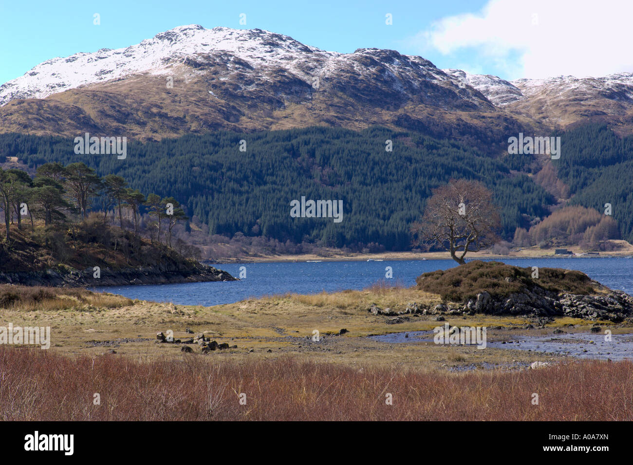 Loch Sunart at Salen Salen Nature Reserve Ardnamurchan Near Fort ...