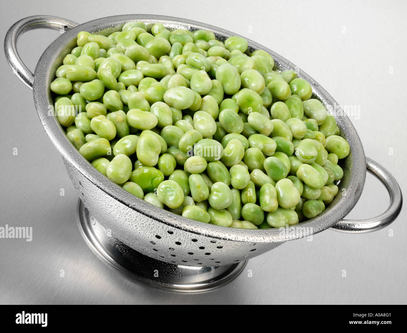 BROAD BEANS IN COLANDER Stock Photo