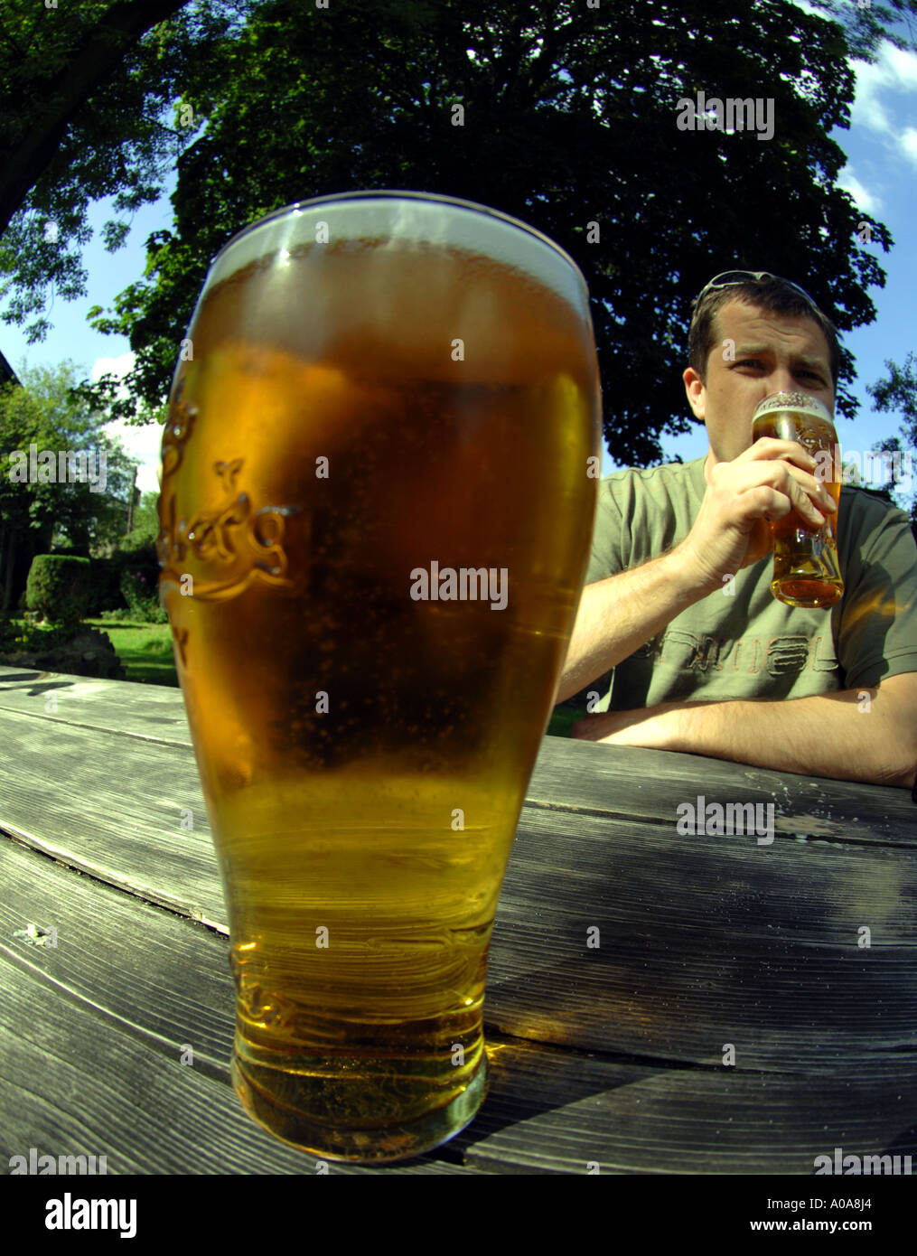 man pint lager beer Stock Photo