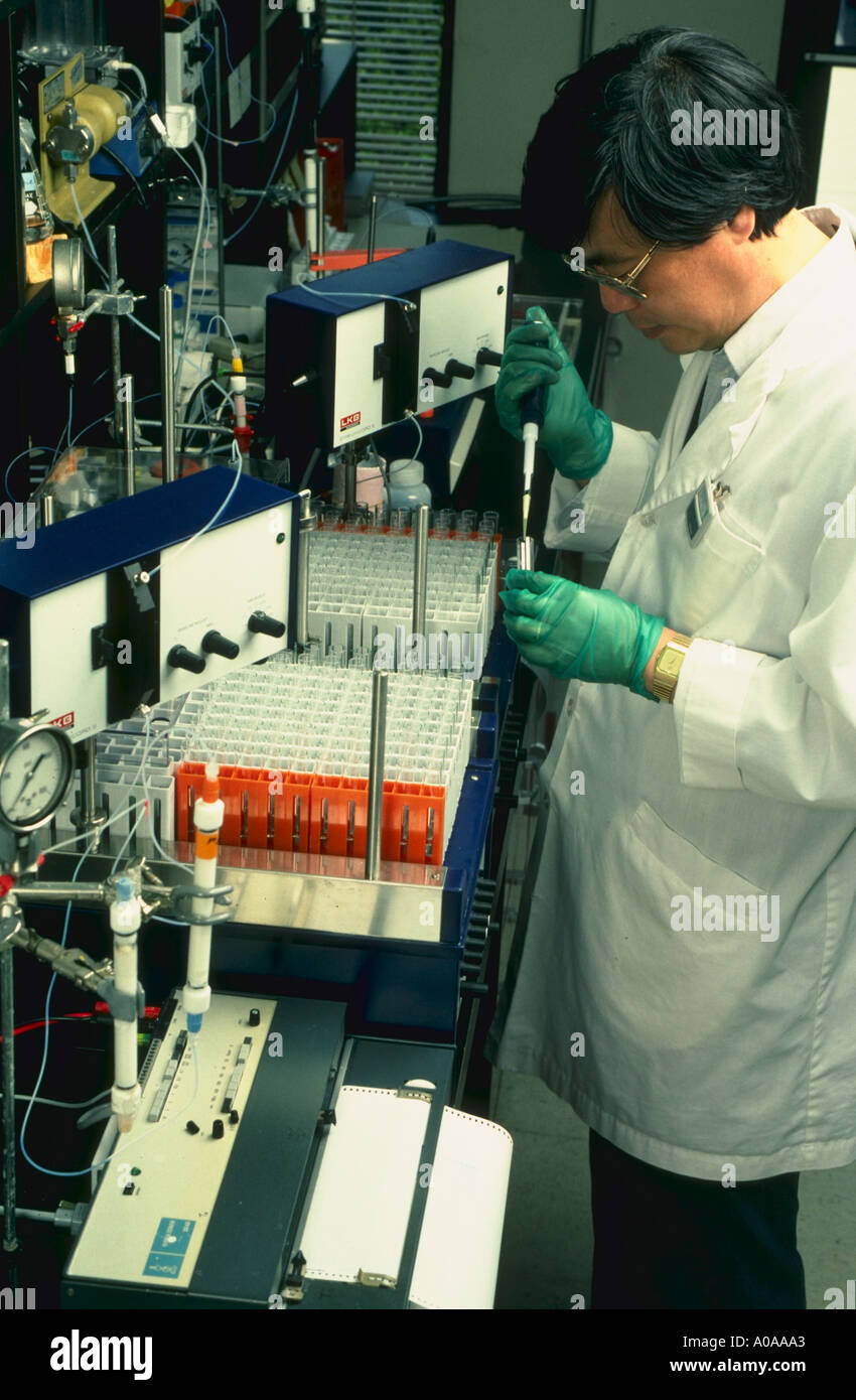 Scientist performs chemical separation in DNA testing Stock Photo