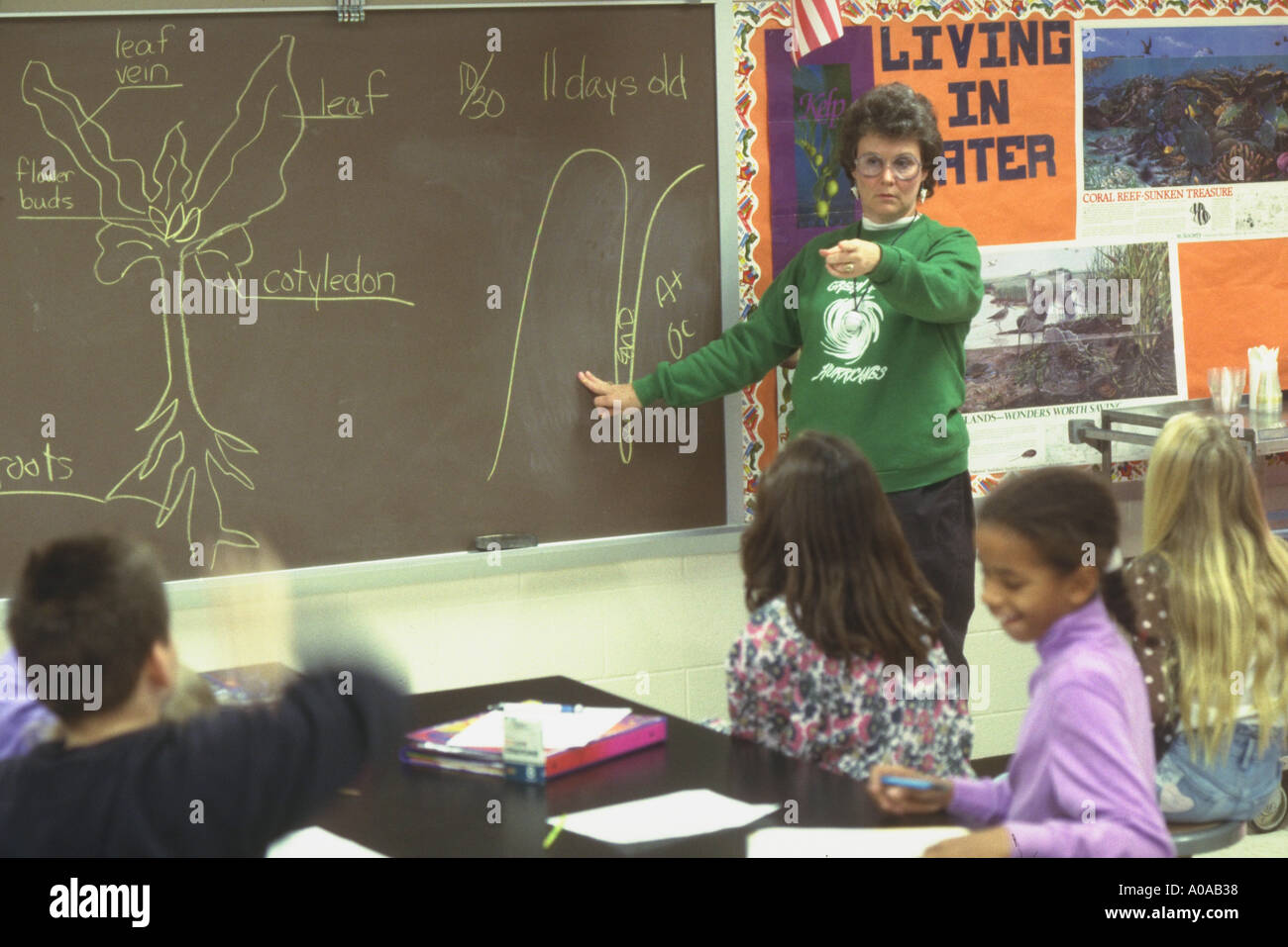 Elementary science teacher discusses salinity in class model released Stock Photo