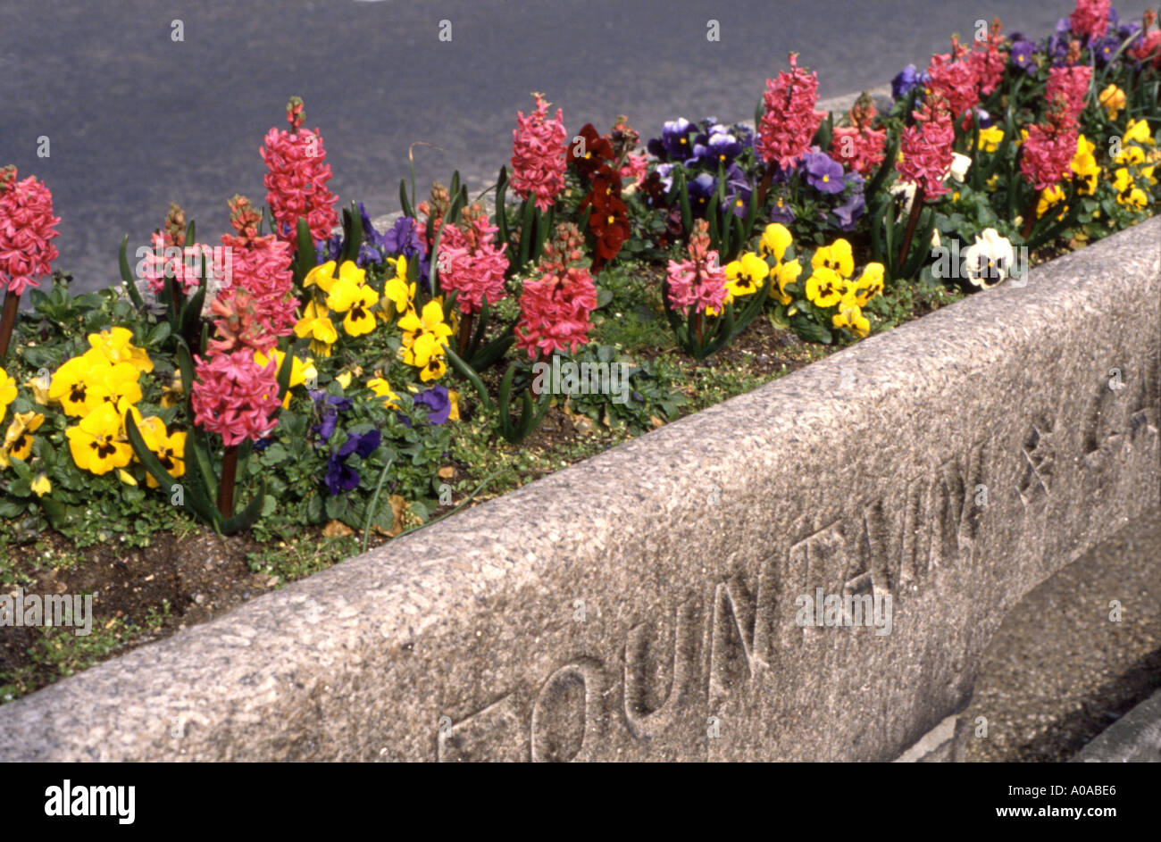 Disused horse trough planted with flowers London UK Stock Photo