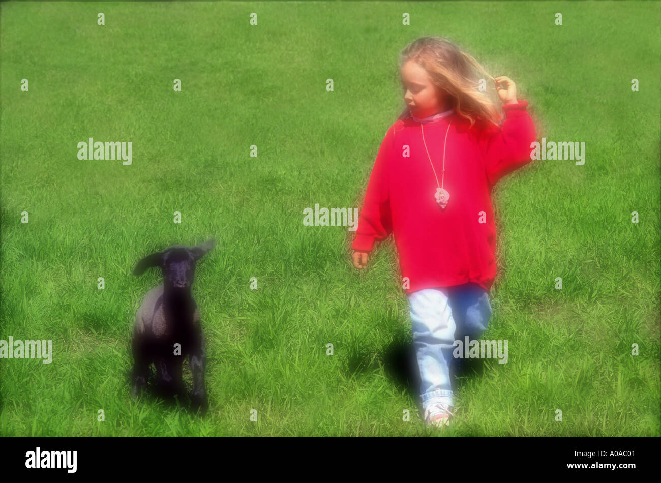 Field walks hi-res stock photography and images - Alamy