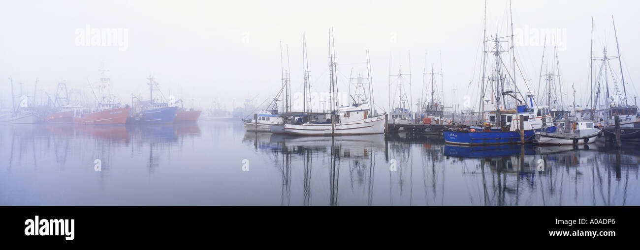Commercial fishing boats docked at Fisherman s Terminal Salmon Bay