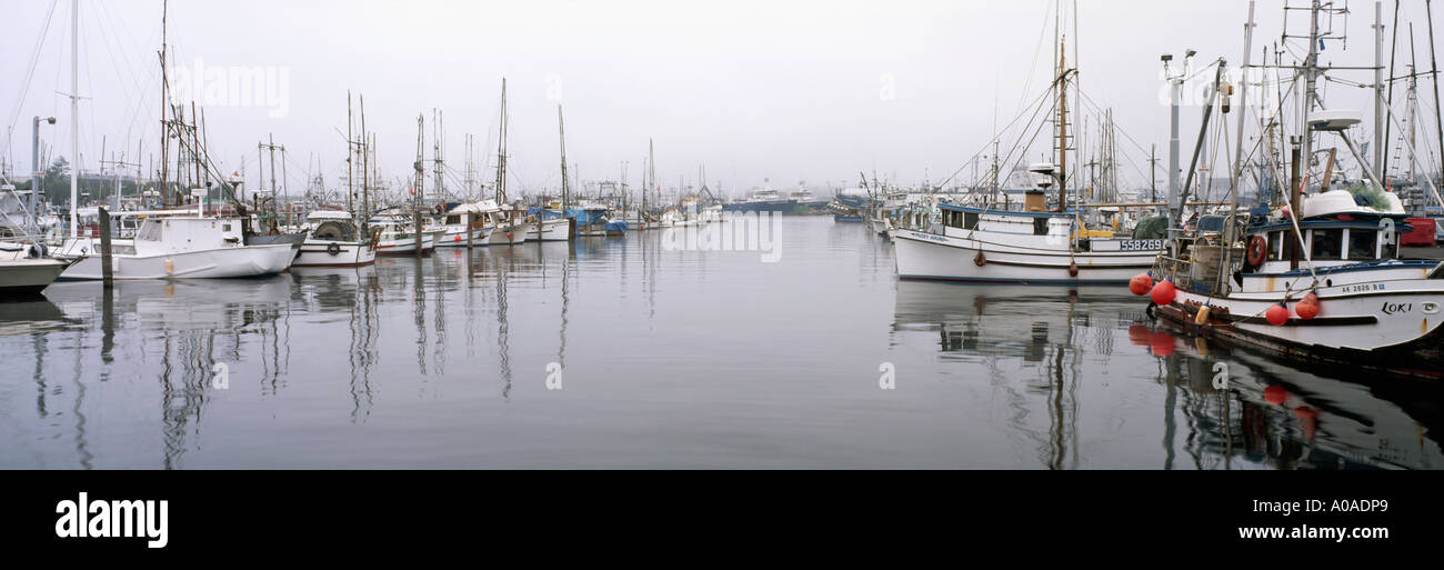 Commercial fishing boats docked at Fisherman's Terminal Salmon Bay