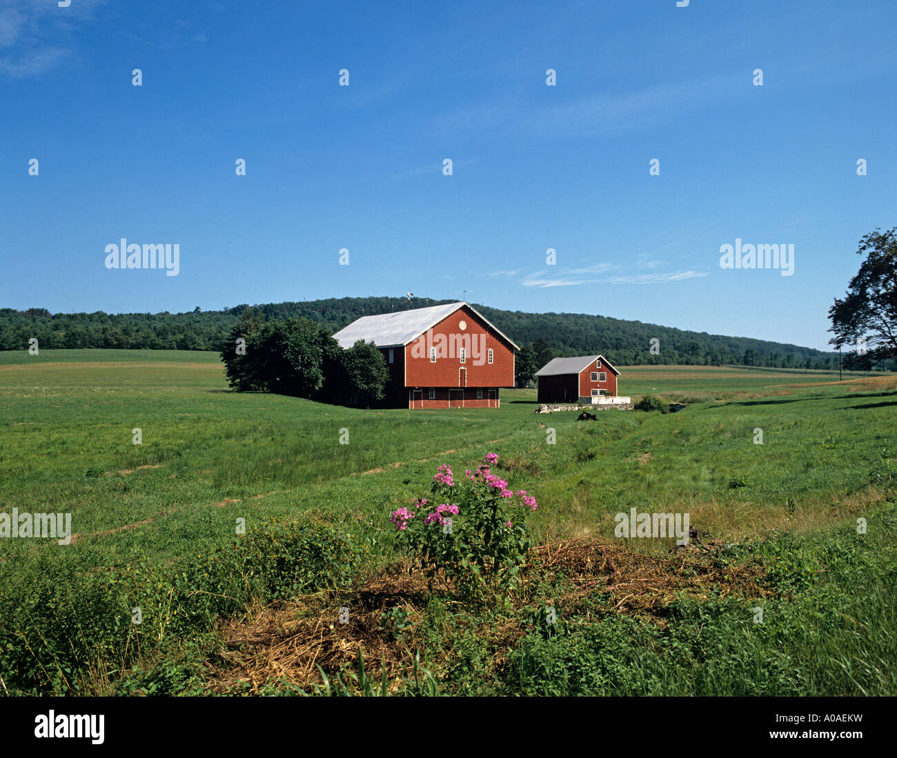 New england landschaftlich hi-res stock photography and images - Alamy