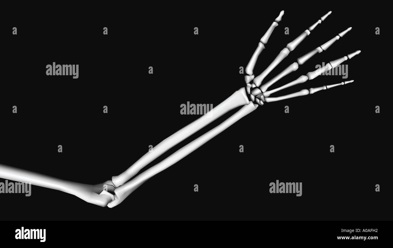 Illustrative diagram showing skeleton arm and hand outstretched Stock Photo