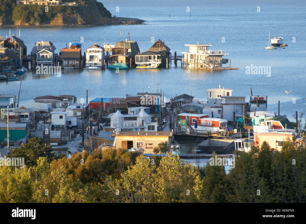 Houseboat community of Sausalito, California Stock Photo 5676437 Alamy