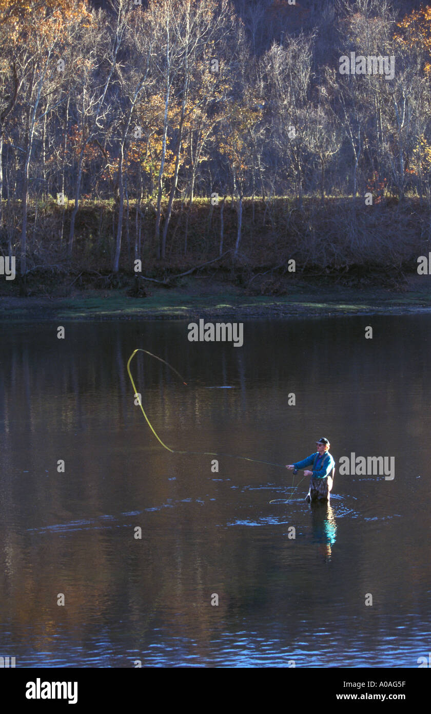 Fly Fishing in Arkansas Stock Photo Alamy