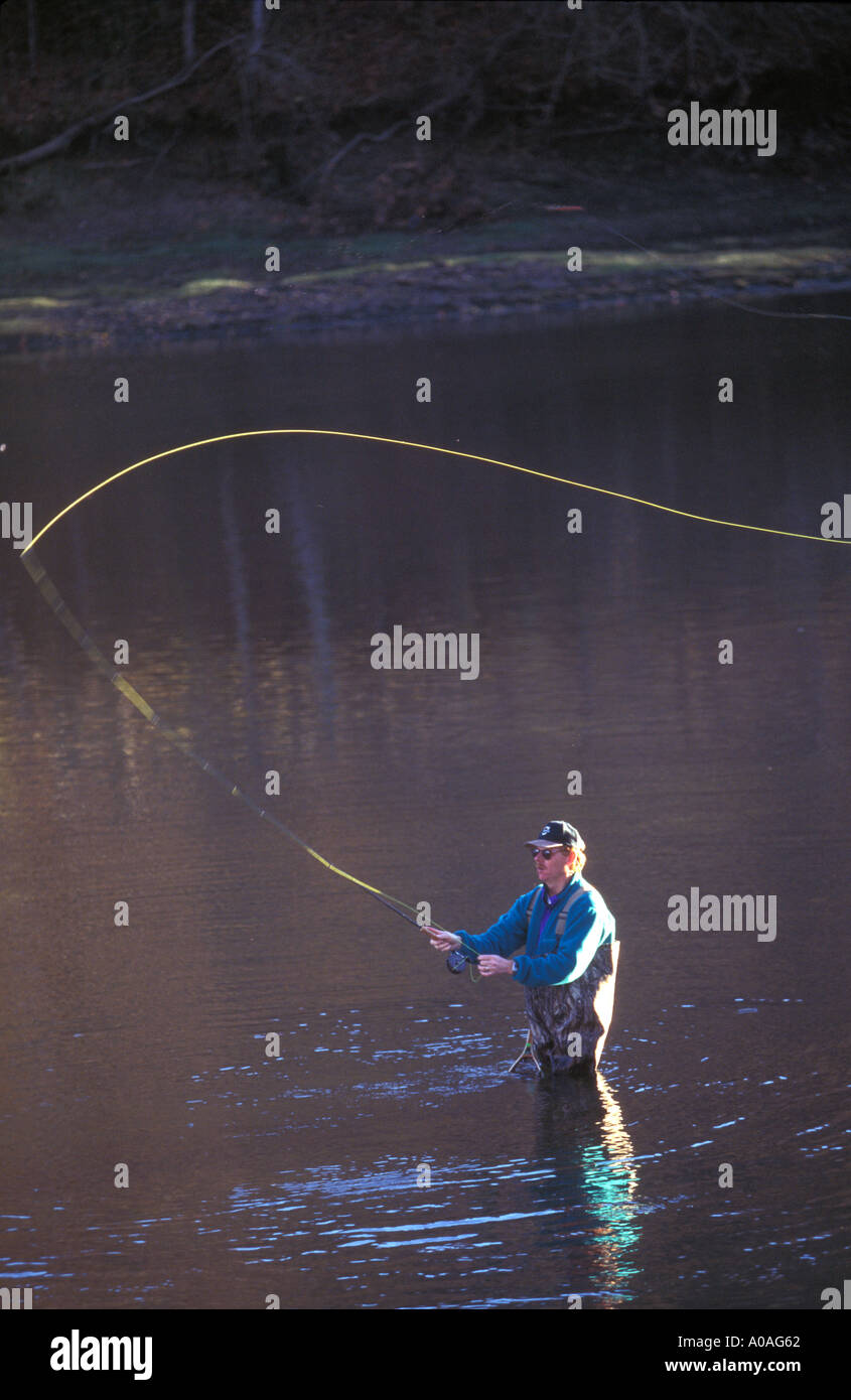 Fly fishing in Arkansas Stock Photo Alamy