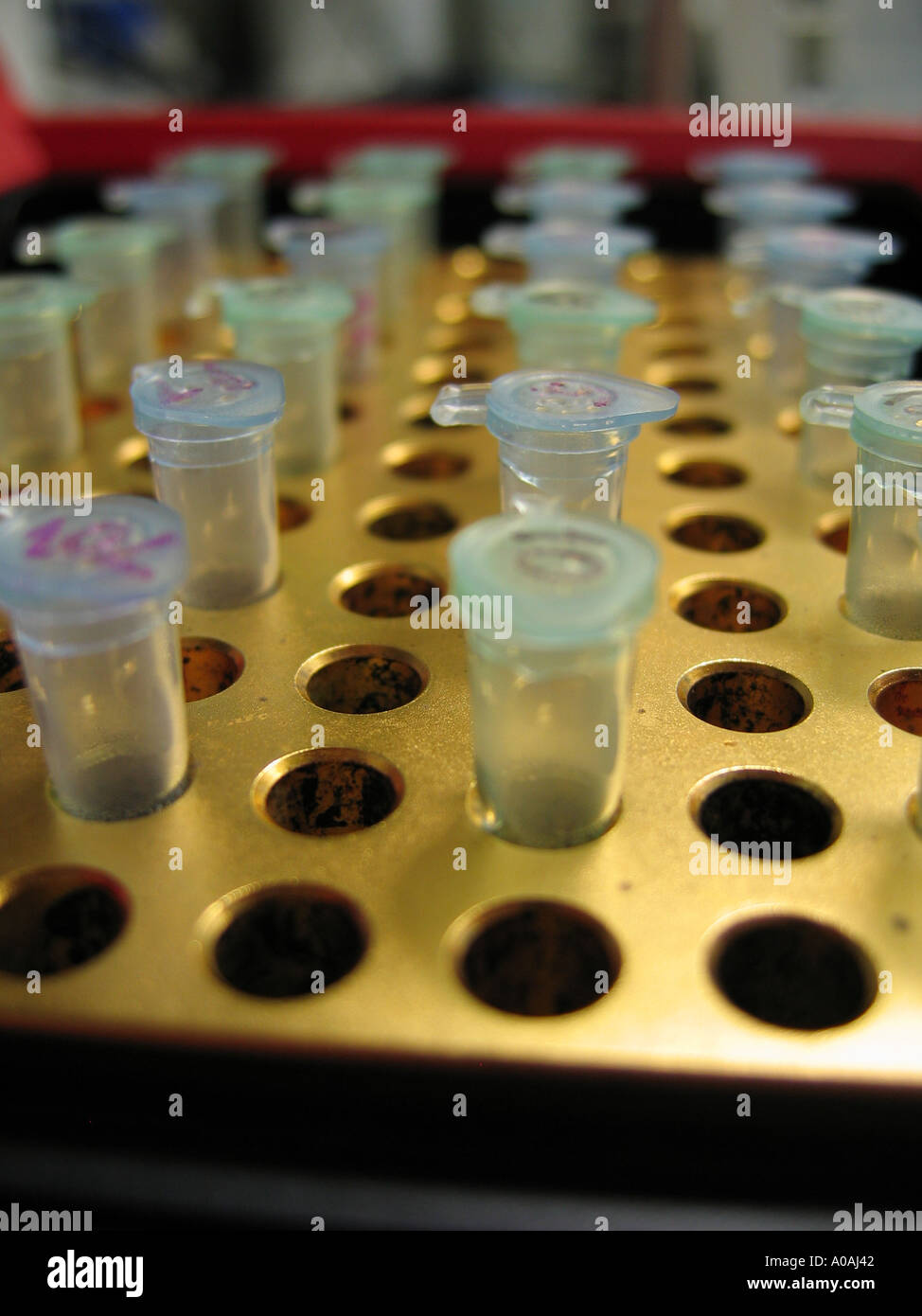 Lab tubes in yellow hi-res stock photography and images - Alamy