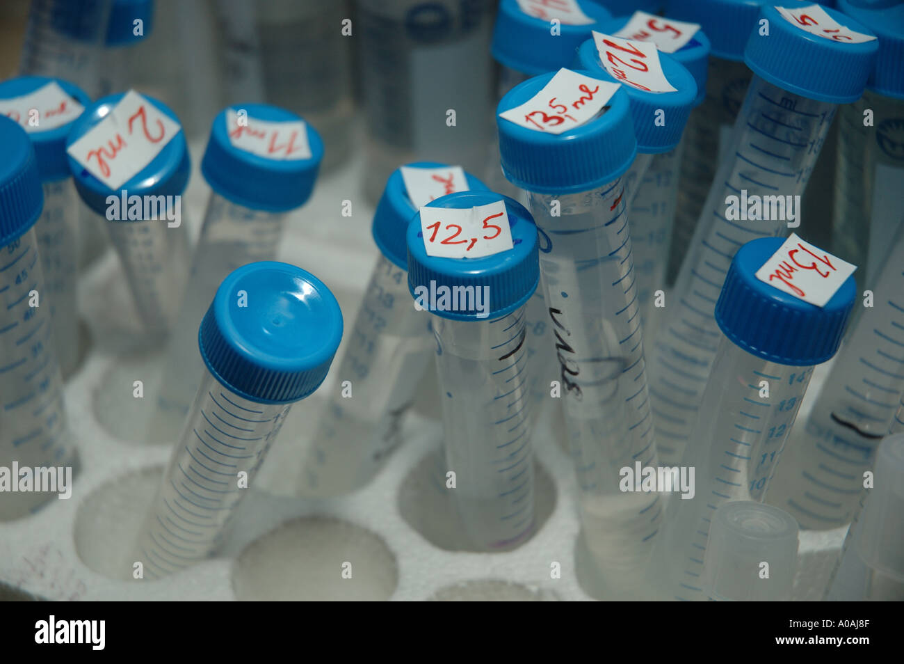 Test Tube Numbers Pcr tubes hi-res stock photography and images - Alamy
