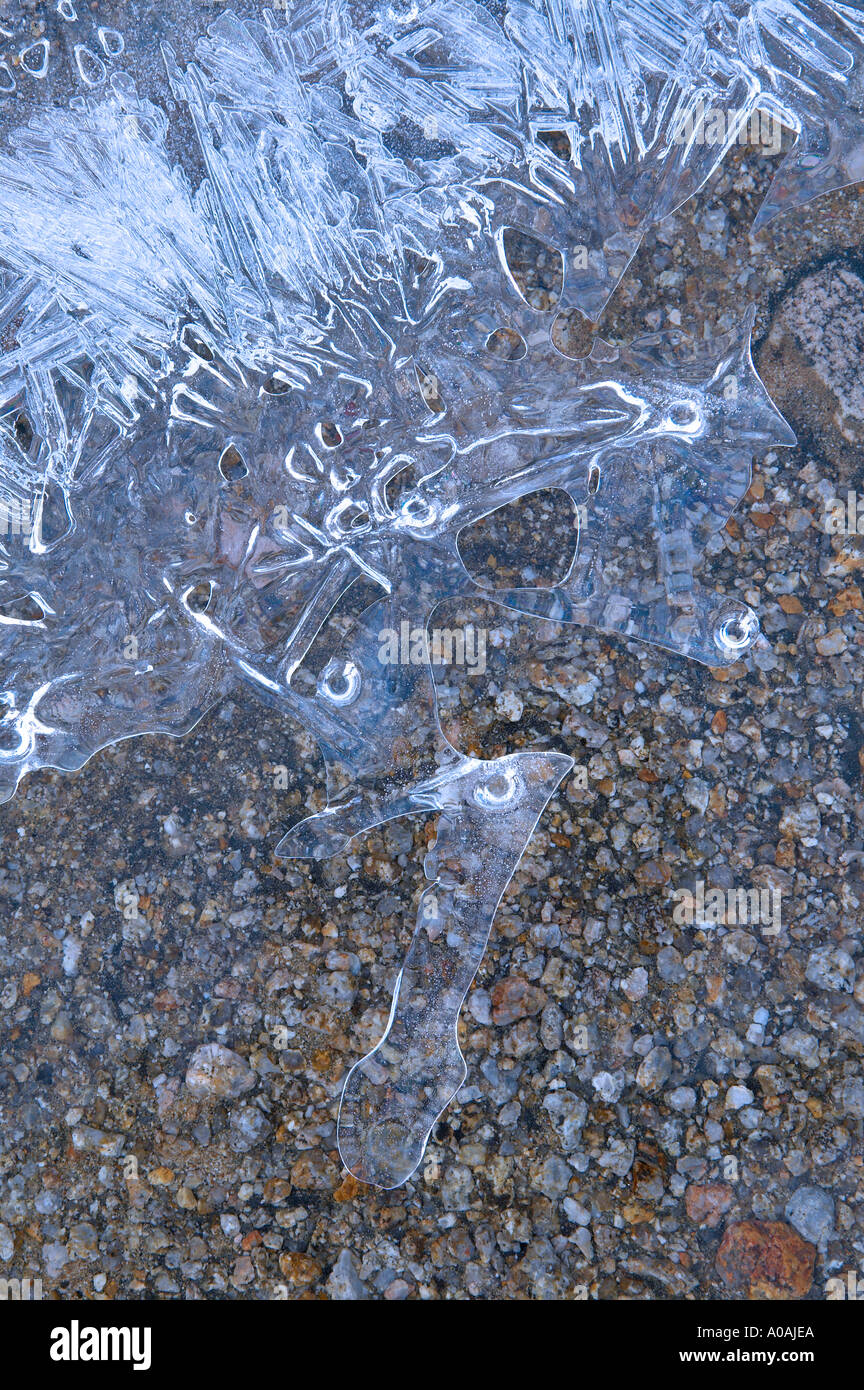 Ice on small creek in Alabama Hills California Stock Photo