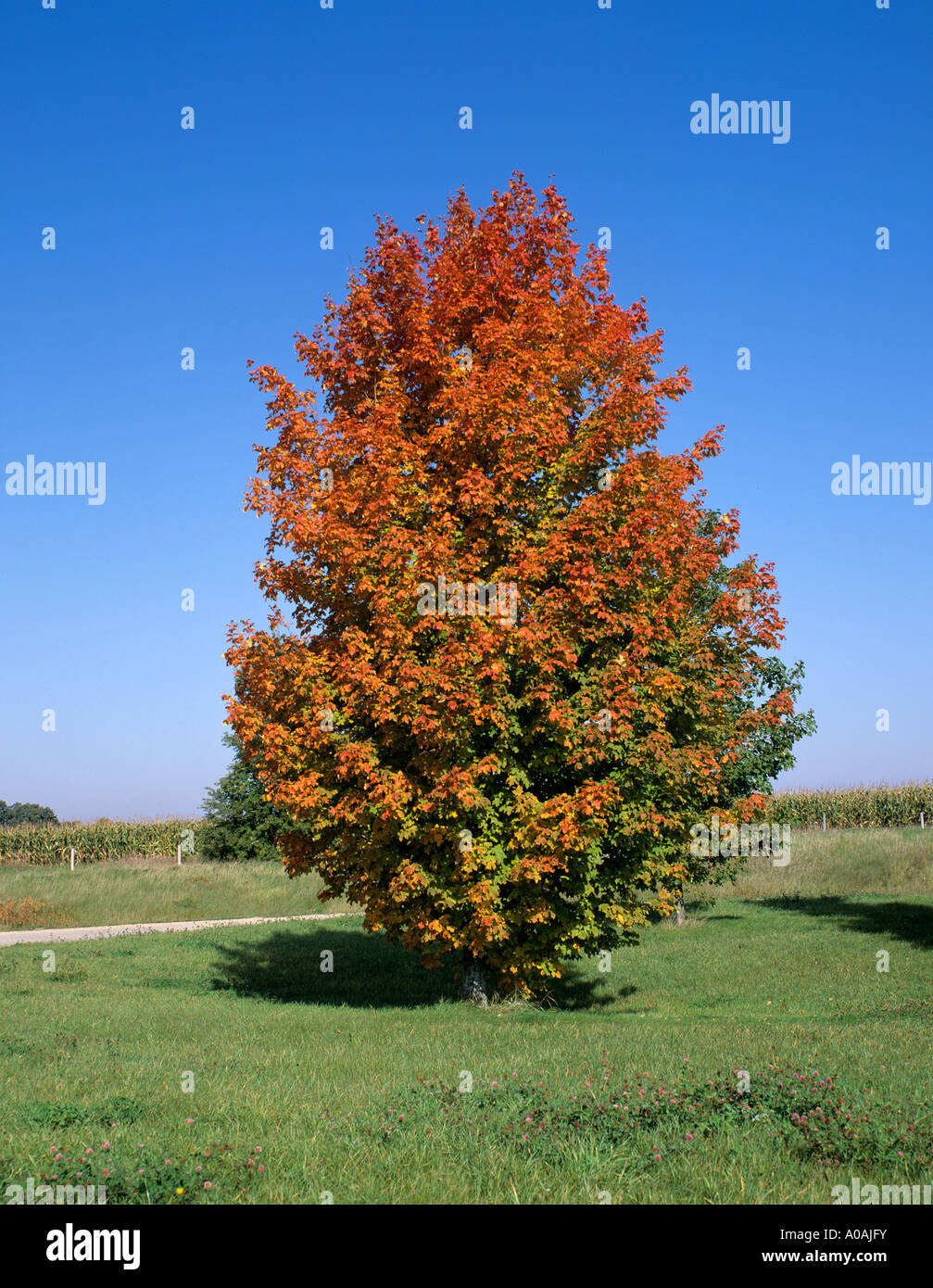 New Neu England Stock Photo Alamy