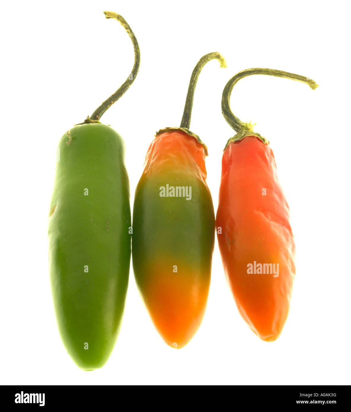 Chillies green chilli chilli cooking ingredient Stock Photo Alamy