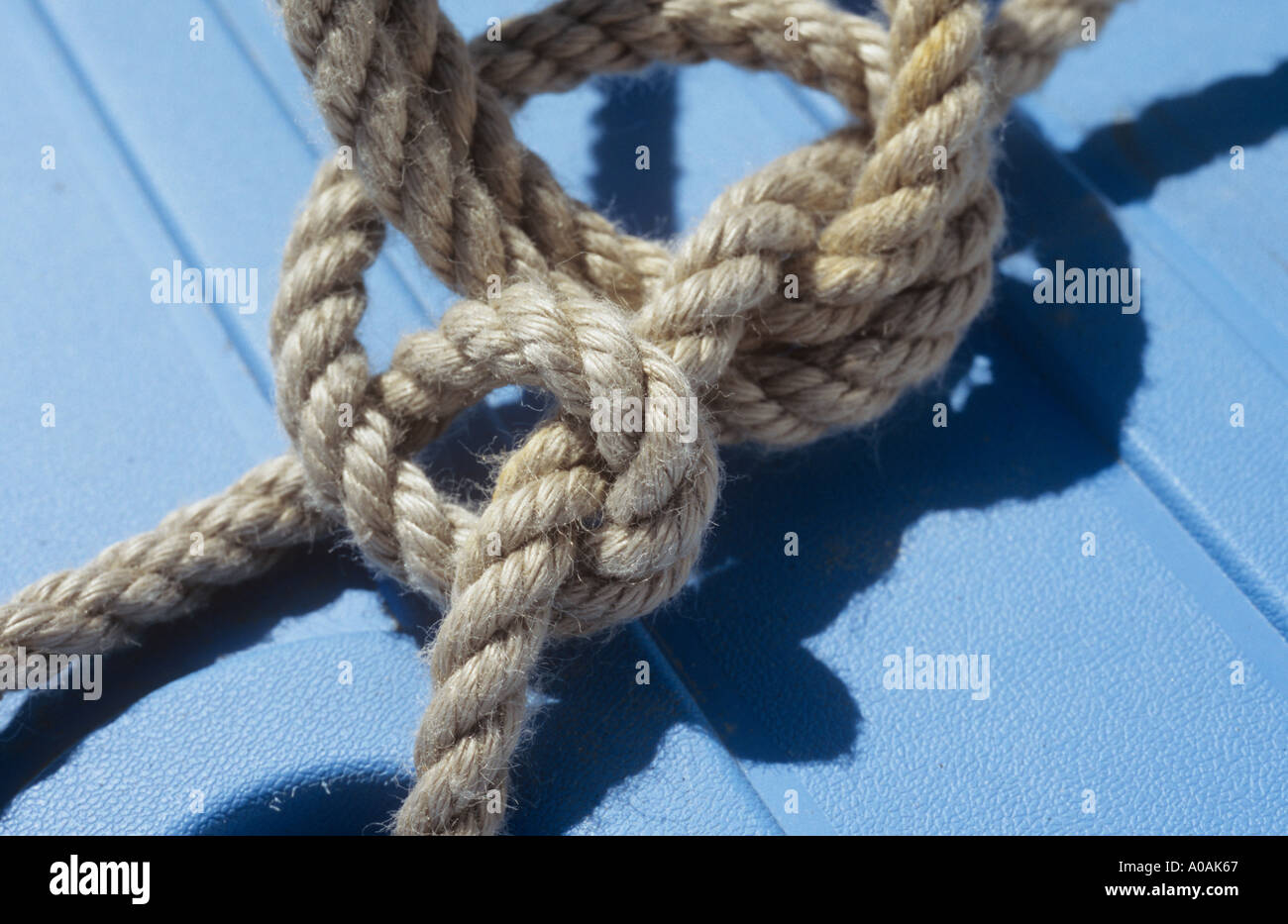 Thick clean rope tied in a complex knot and casting a shadow on a ...