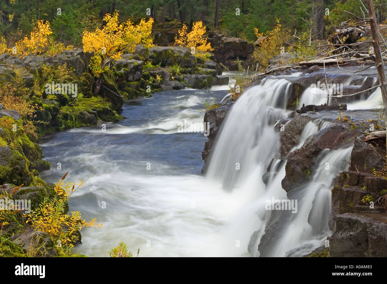 Rogue River Gorge with fall color Rogue River Wild and Scenic River Oregon  Stock Photo - Alamy