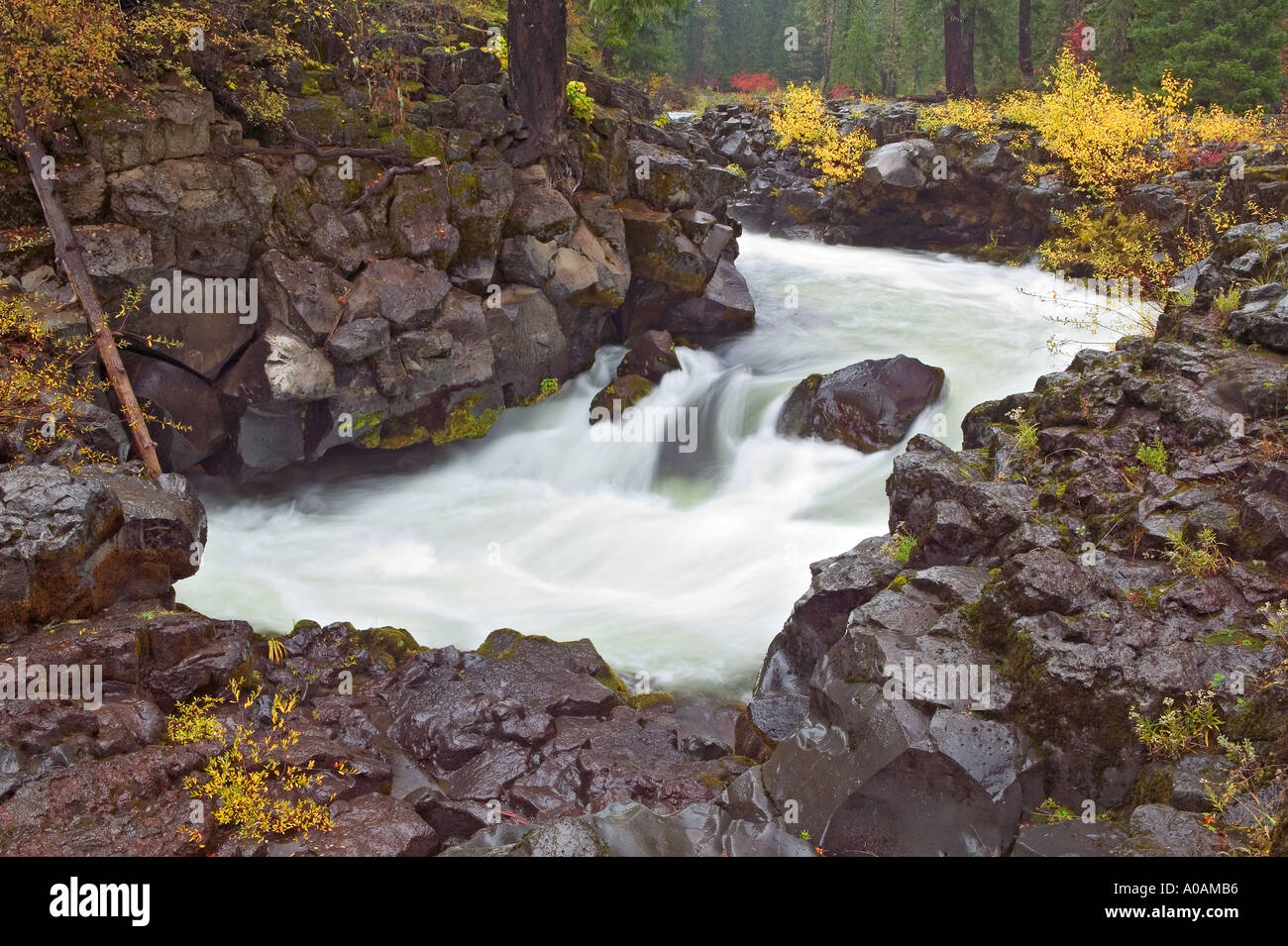 Natural Bridge where the Rogue River goes underground Rogue River Wild