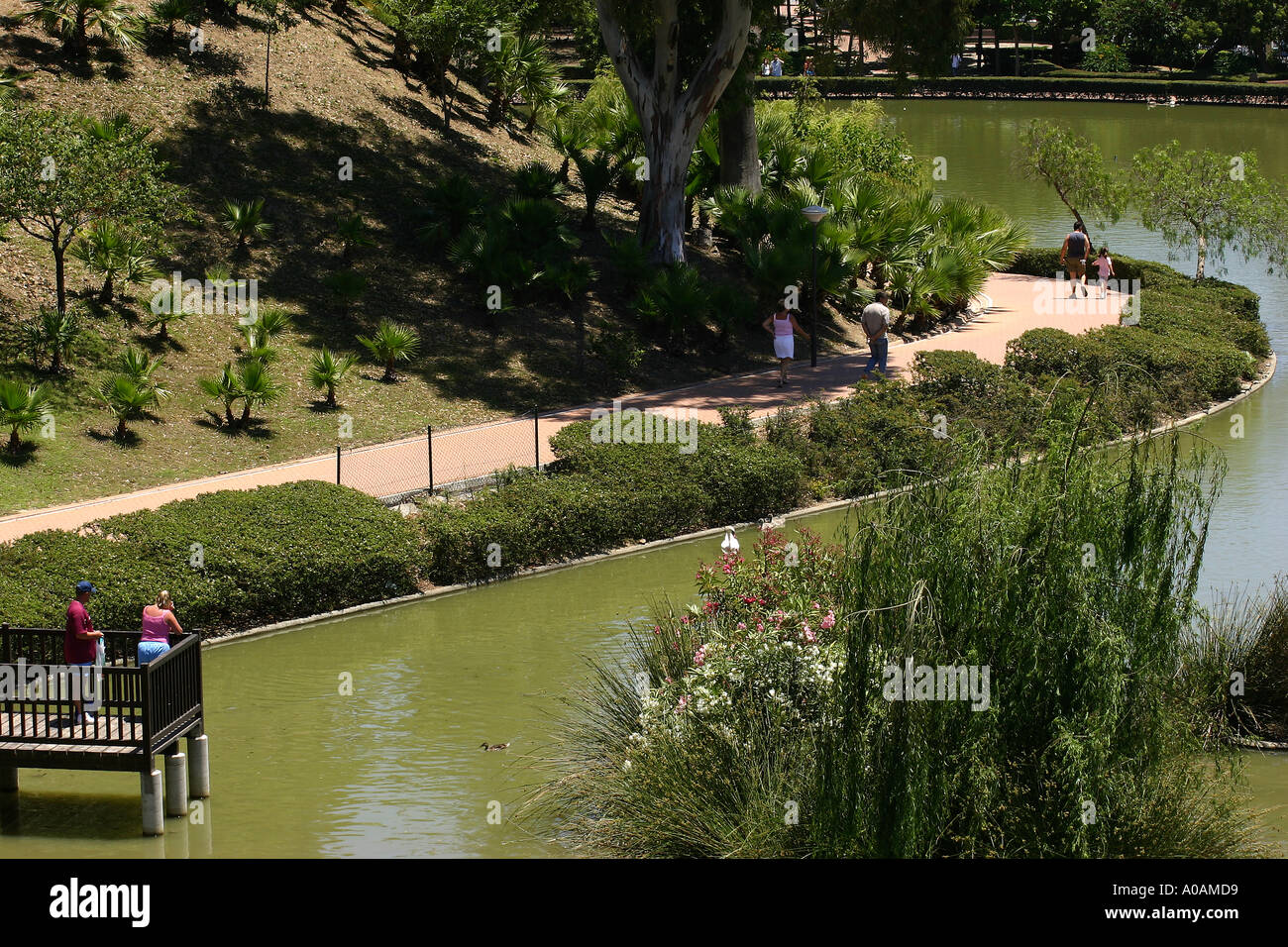 Benalmadena paloma hi-res stock photography and images - Alamy