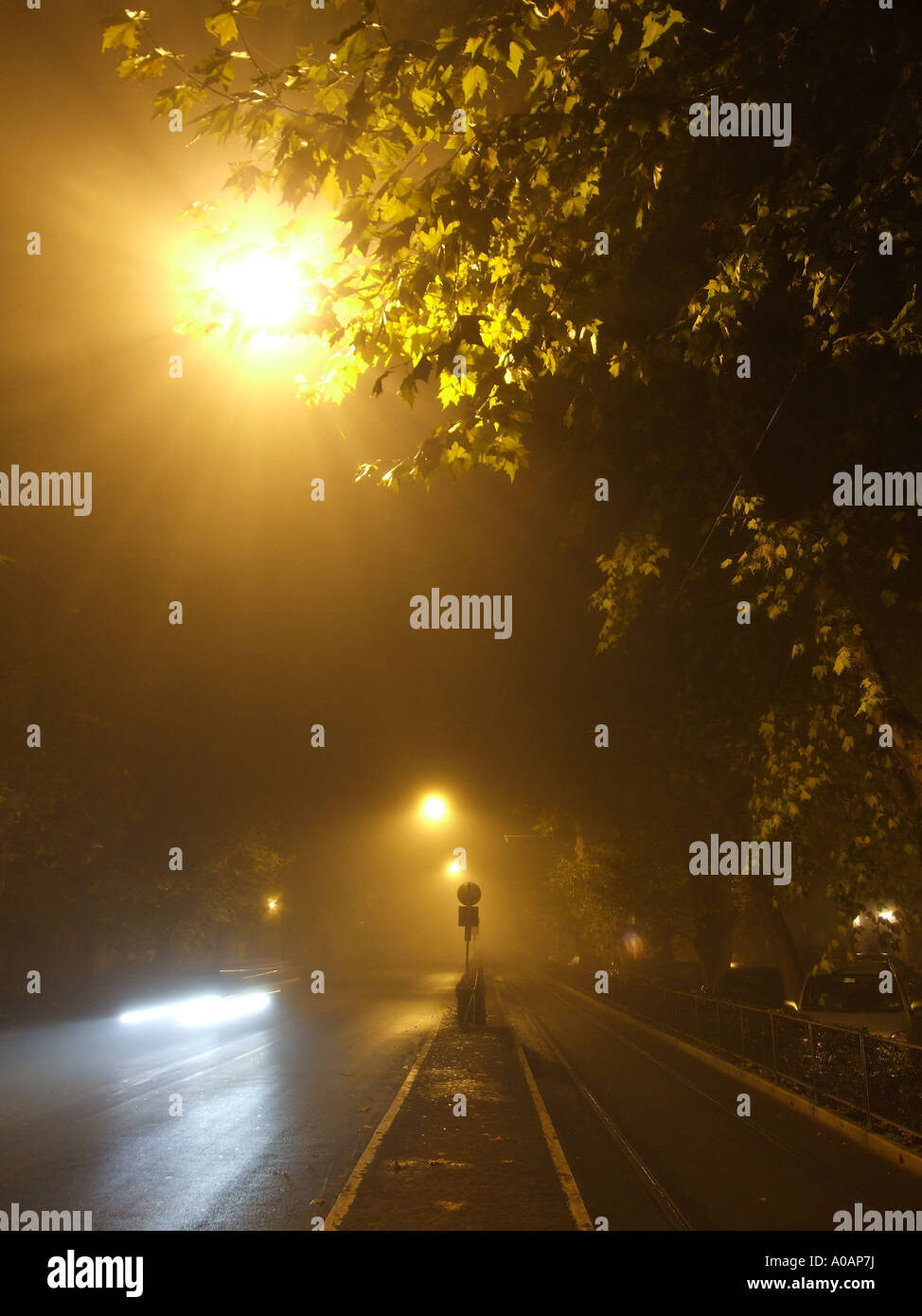 traffic in fog at night Stock Photo - Alamy