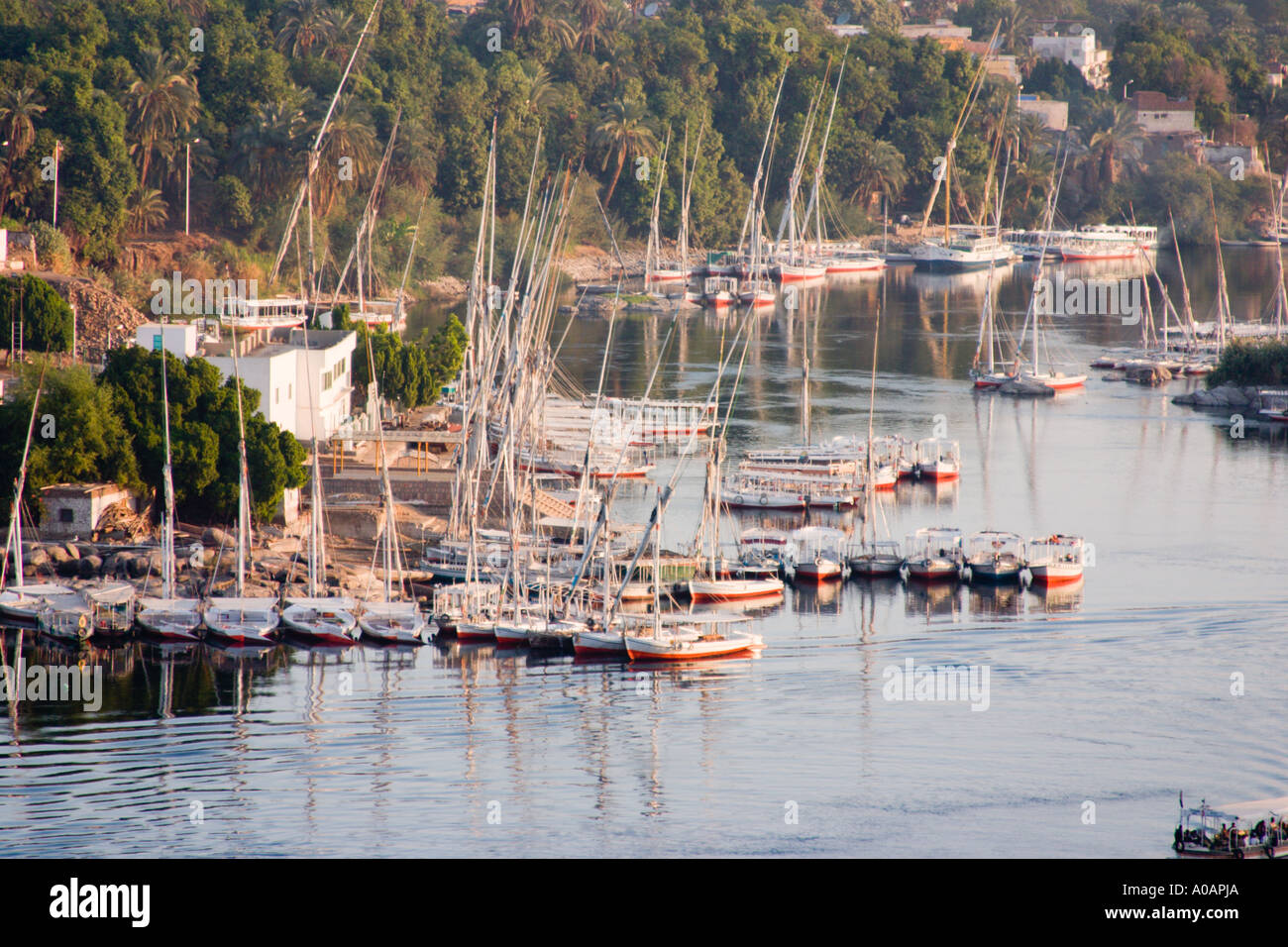 Feluccas on the River Nile at Aswan Egypt Stock Photo - Alamy