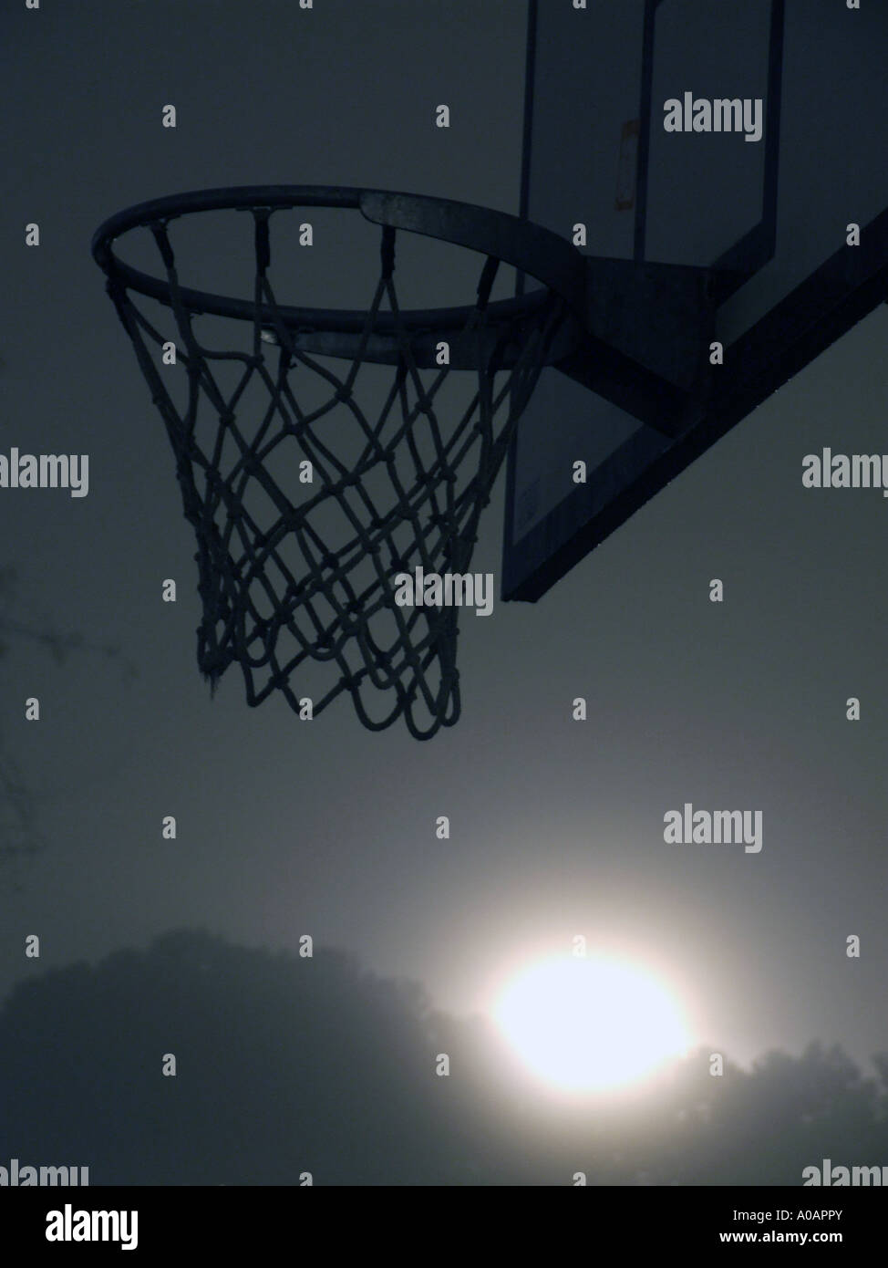 basketball court at night in thick fog Stock Photo Alamy