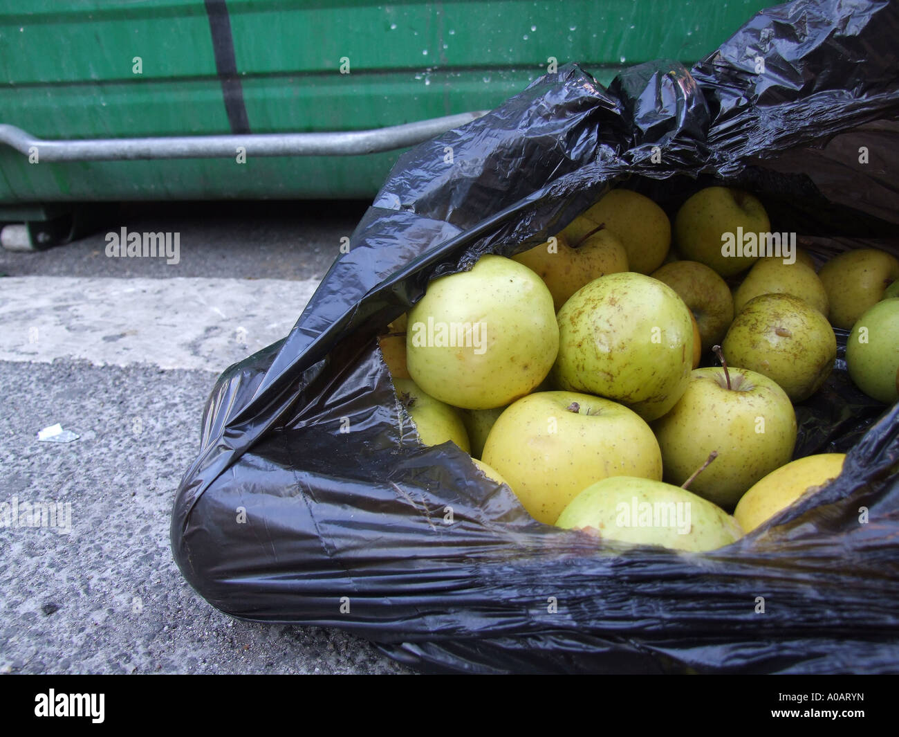 old apples in a bin bag Stock Photo Alamy