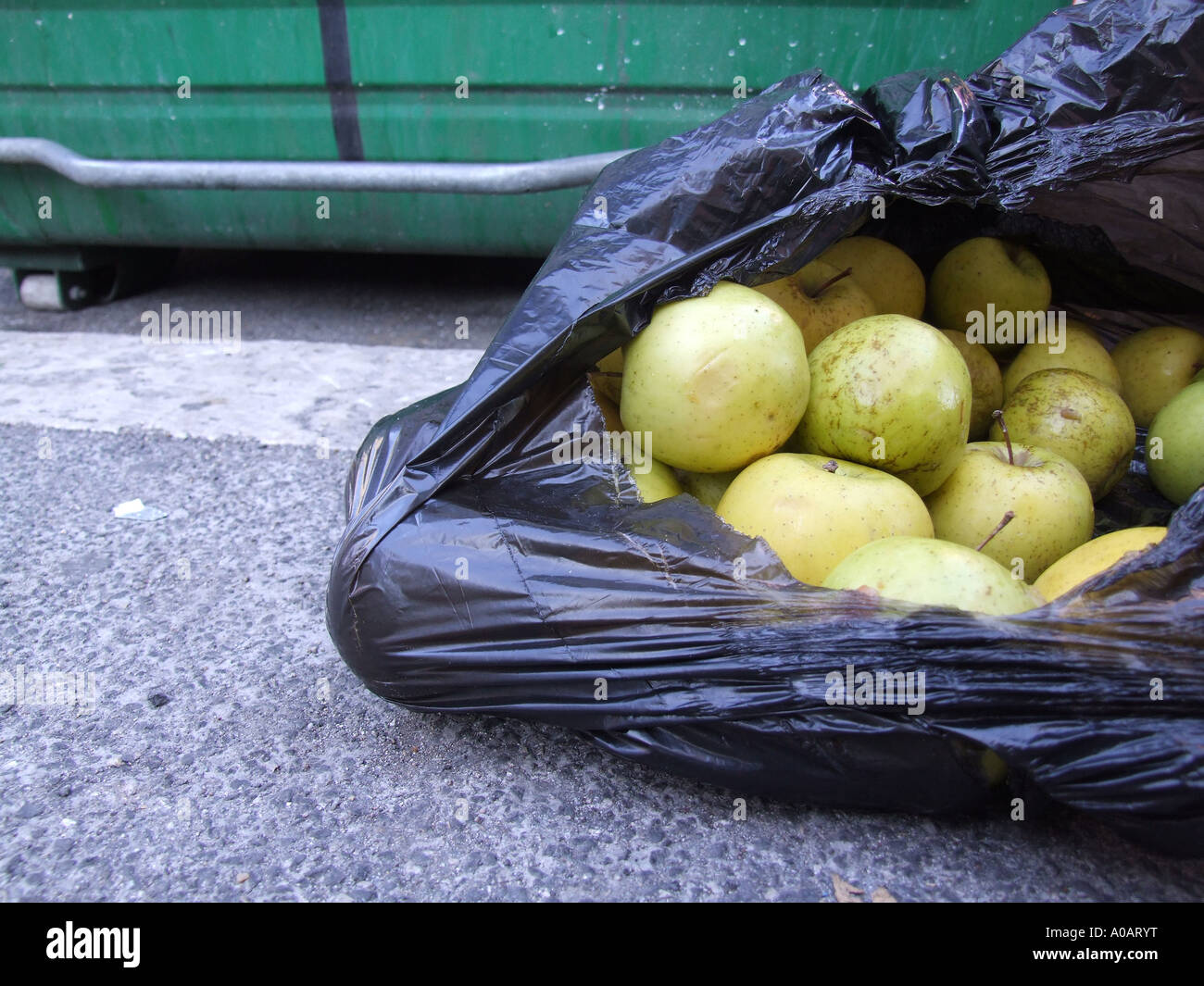 old apples in a bin bag Stock Photo Alamy