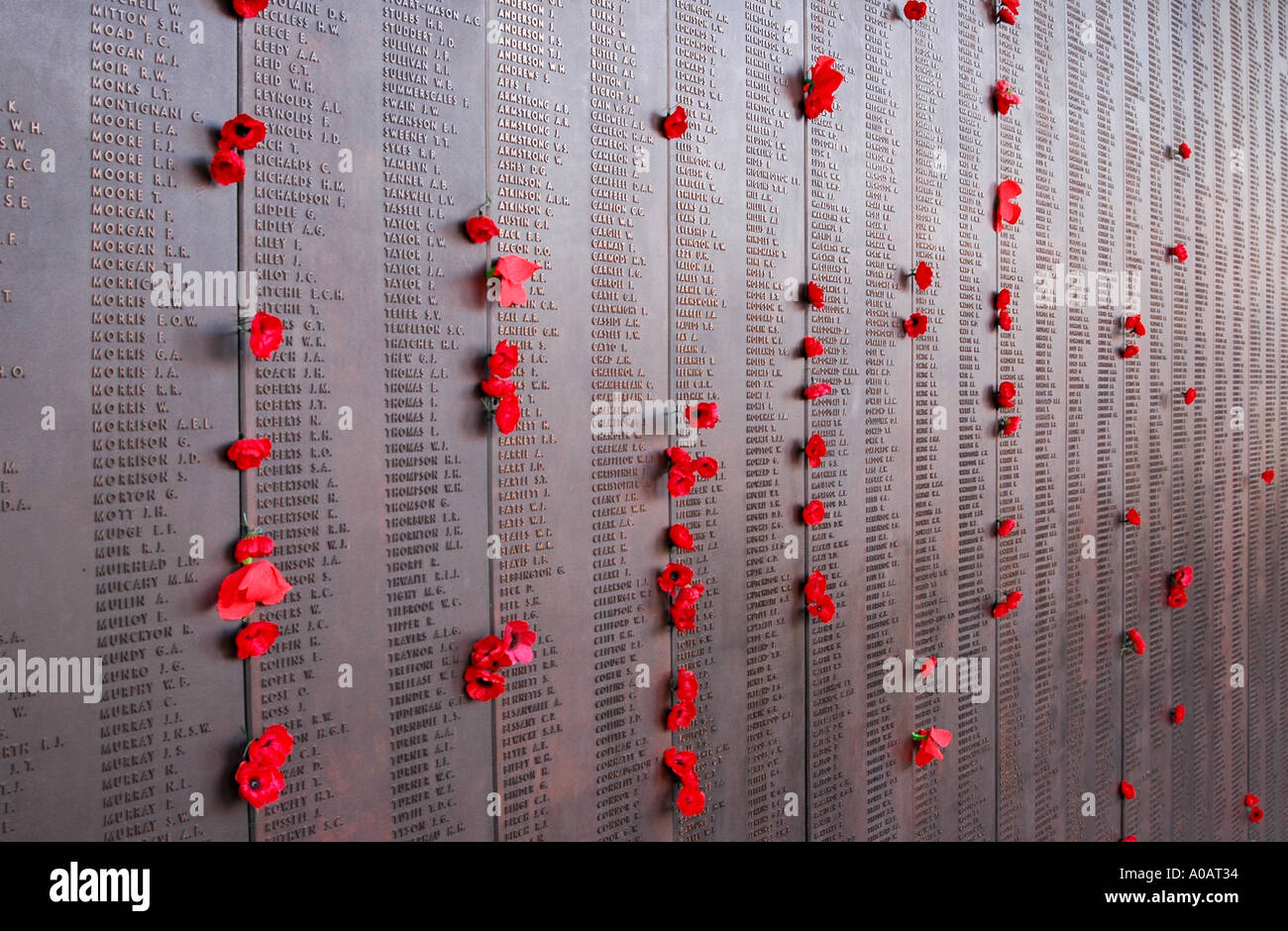 Poppies line the War roll of honor, Australian War Memorial, Canberra, Australia Stock Photo