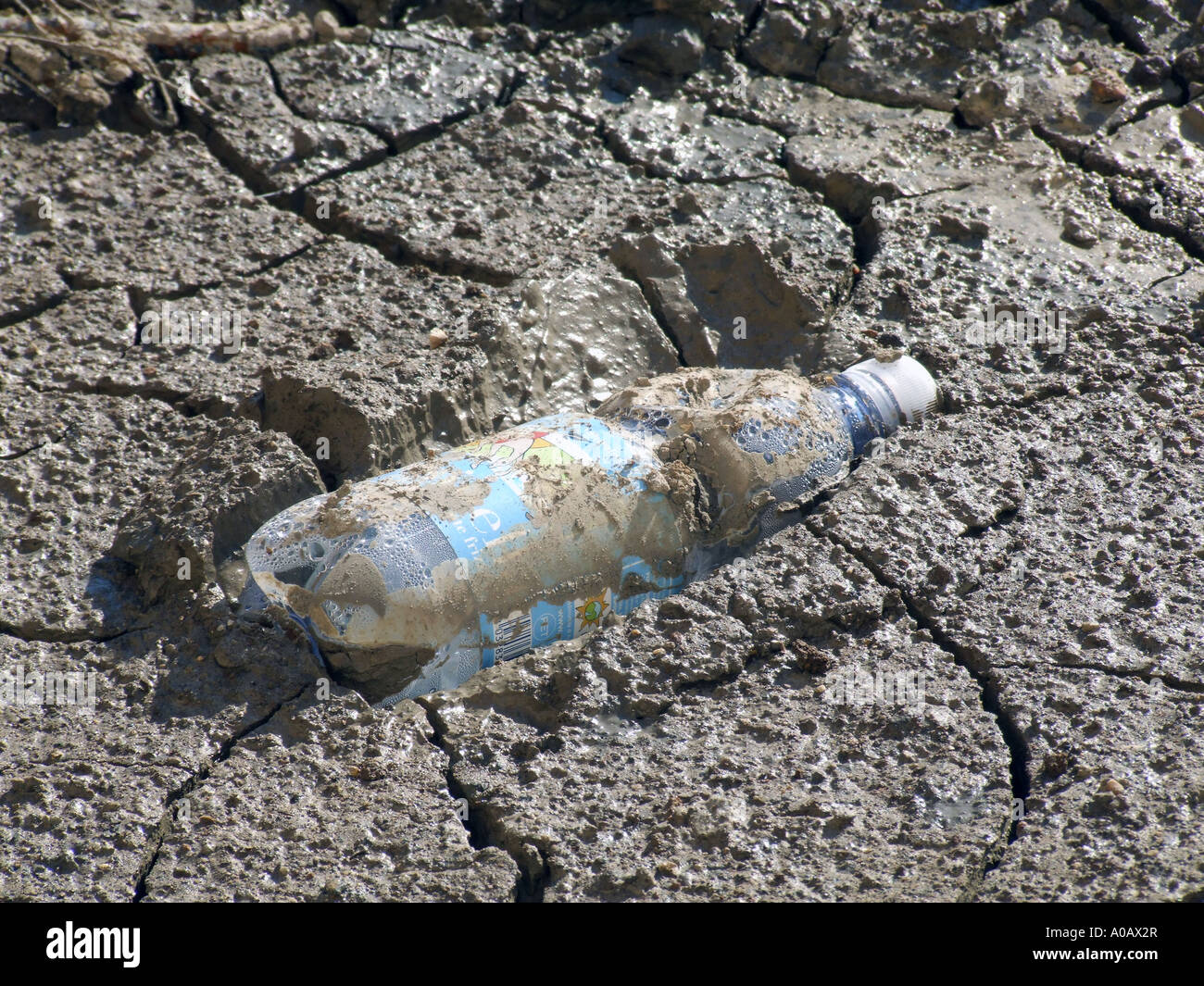 plastic water bottle stuck in mud Stock Photo Alamy