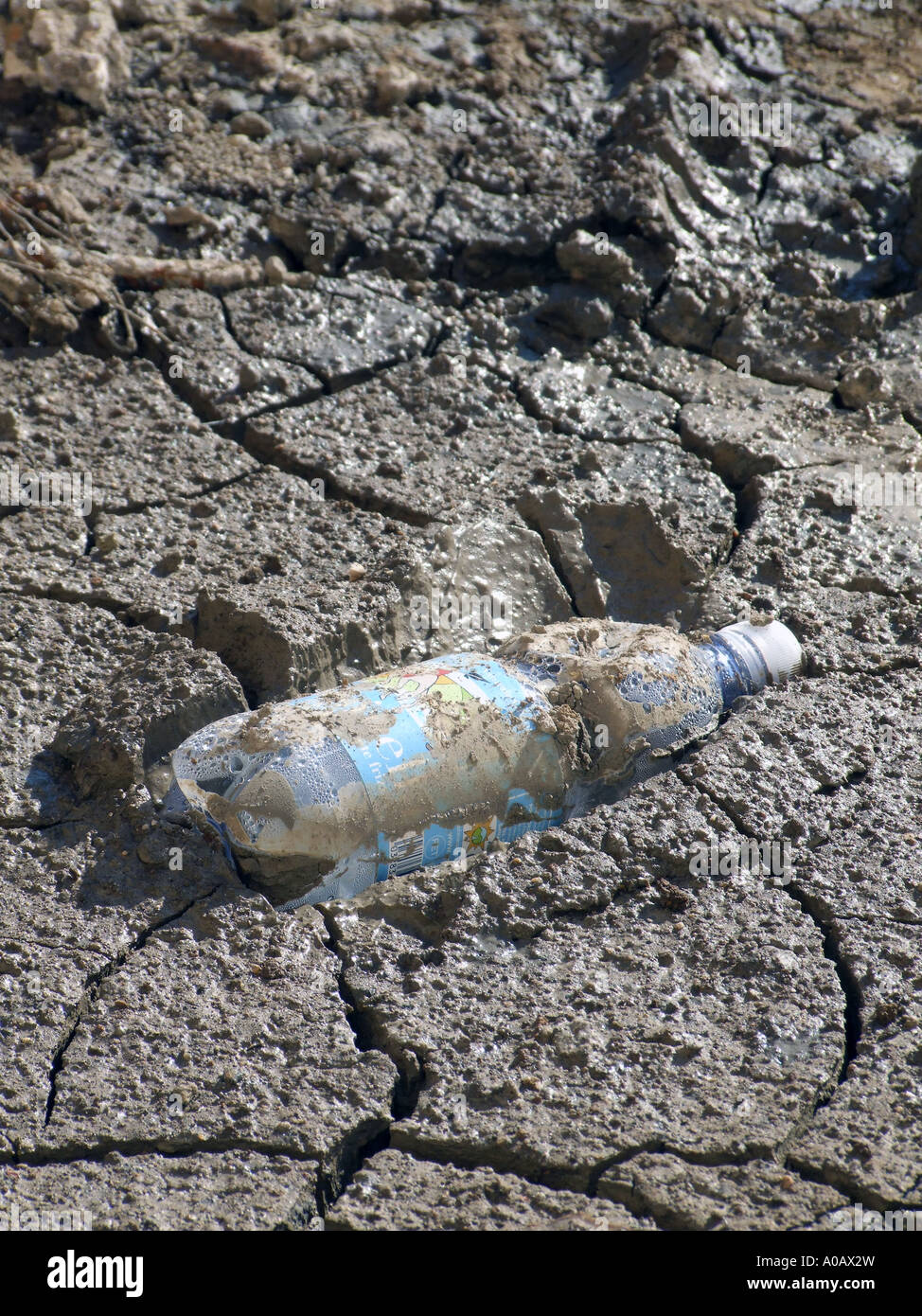 plastic water bottle stuck in mud Stock Photo - Alamy