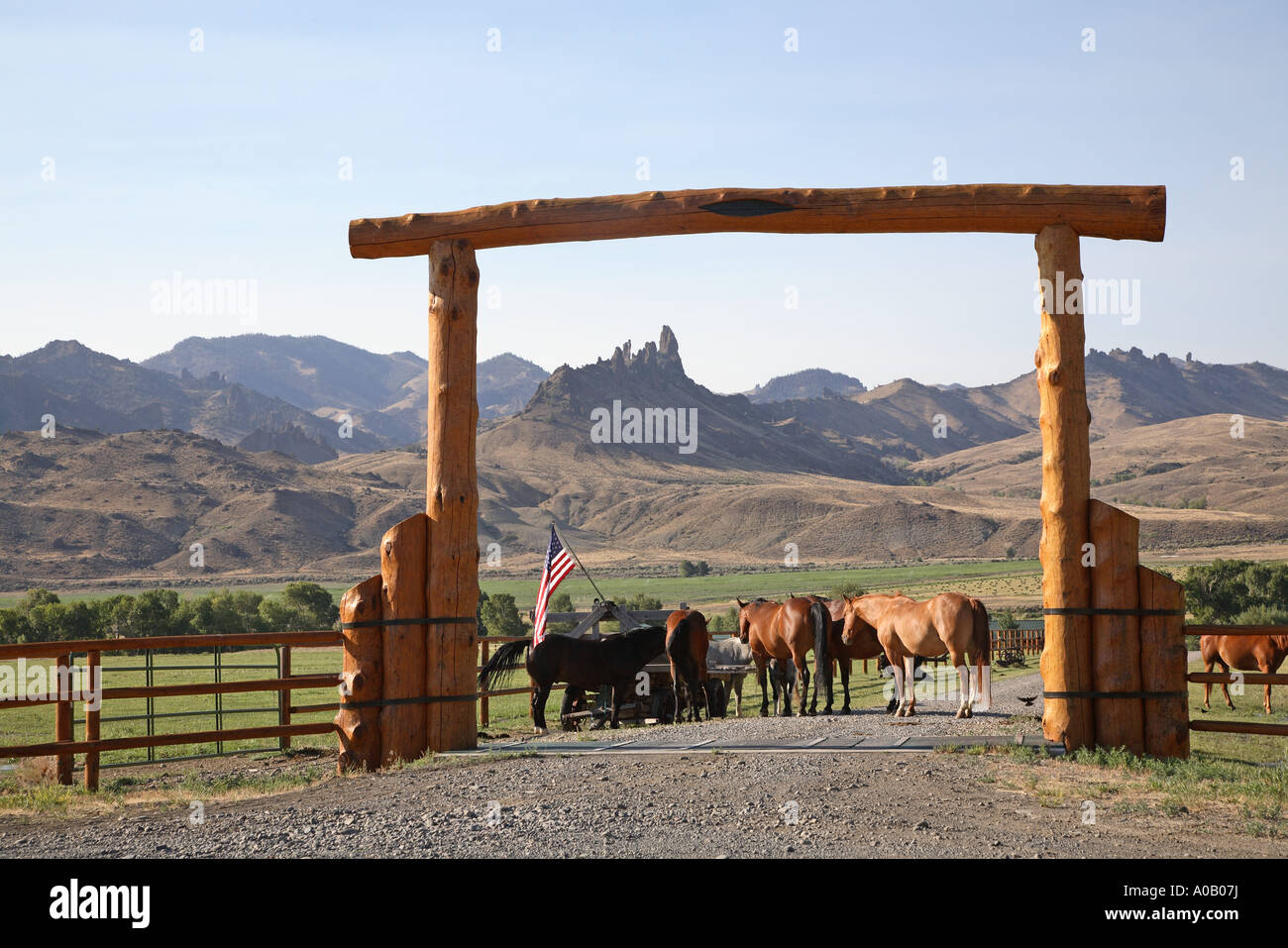 Tore horse hi-res stock photography and images - Alamy