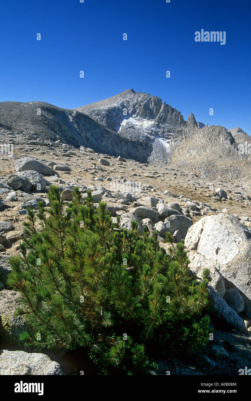Landscape near Mono Pass in the John Muir Wilderness, Inyo National Forest, Sierra Nevada Mountains, California, USA Stock Photo