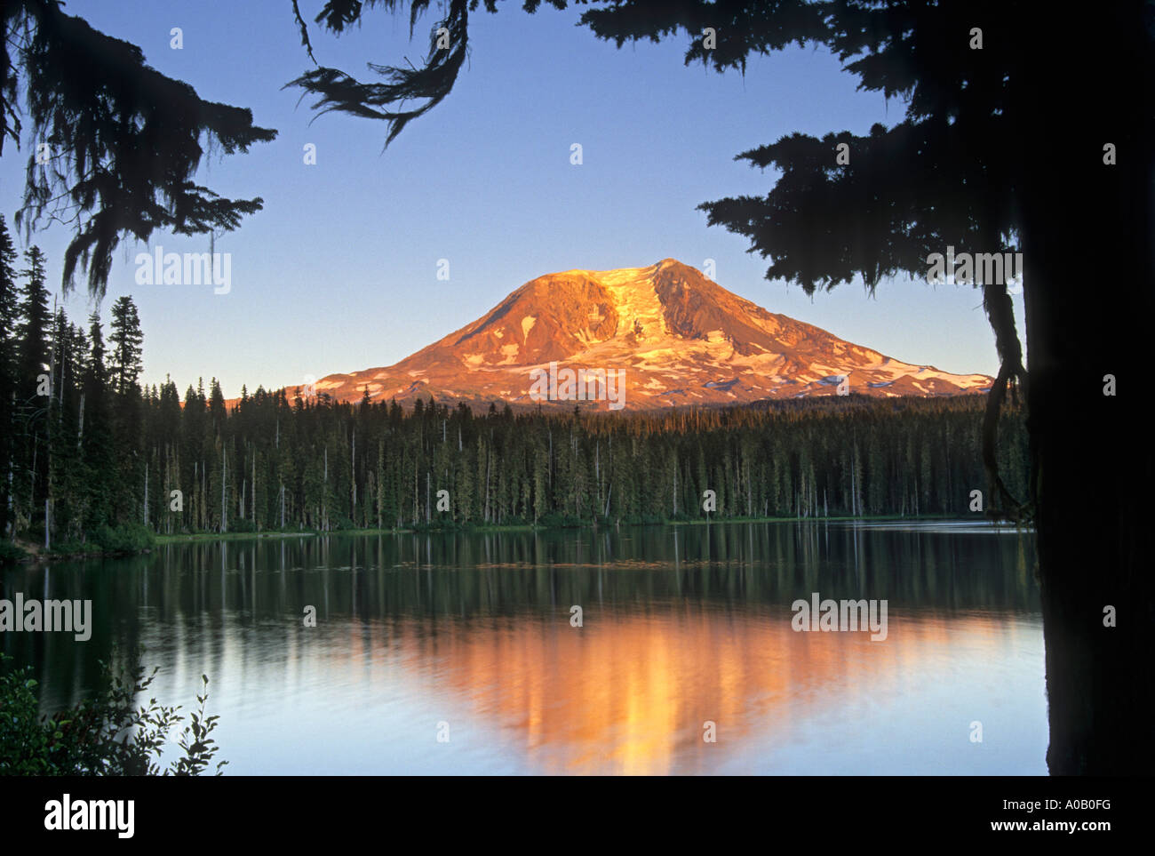 Mount Adams towers over Takhlakh Lake in the Gifford Pinchot National ...