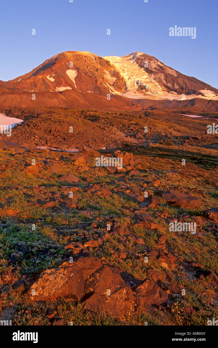 Alpenglow at the Meadows at Highcamp on Mount Adams in the Gifford