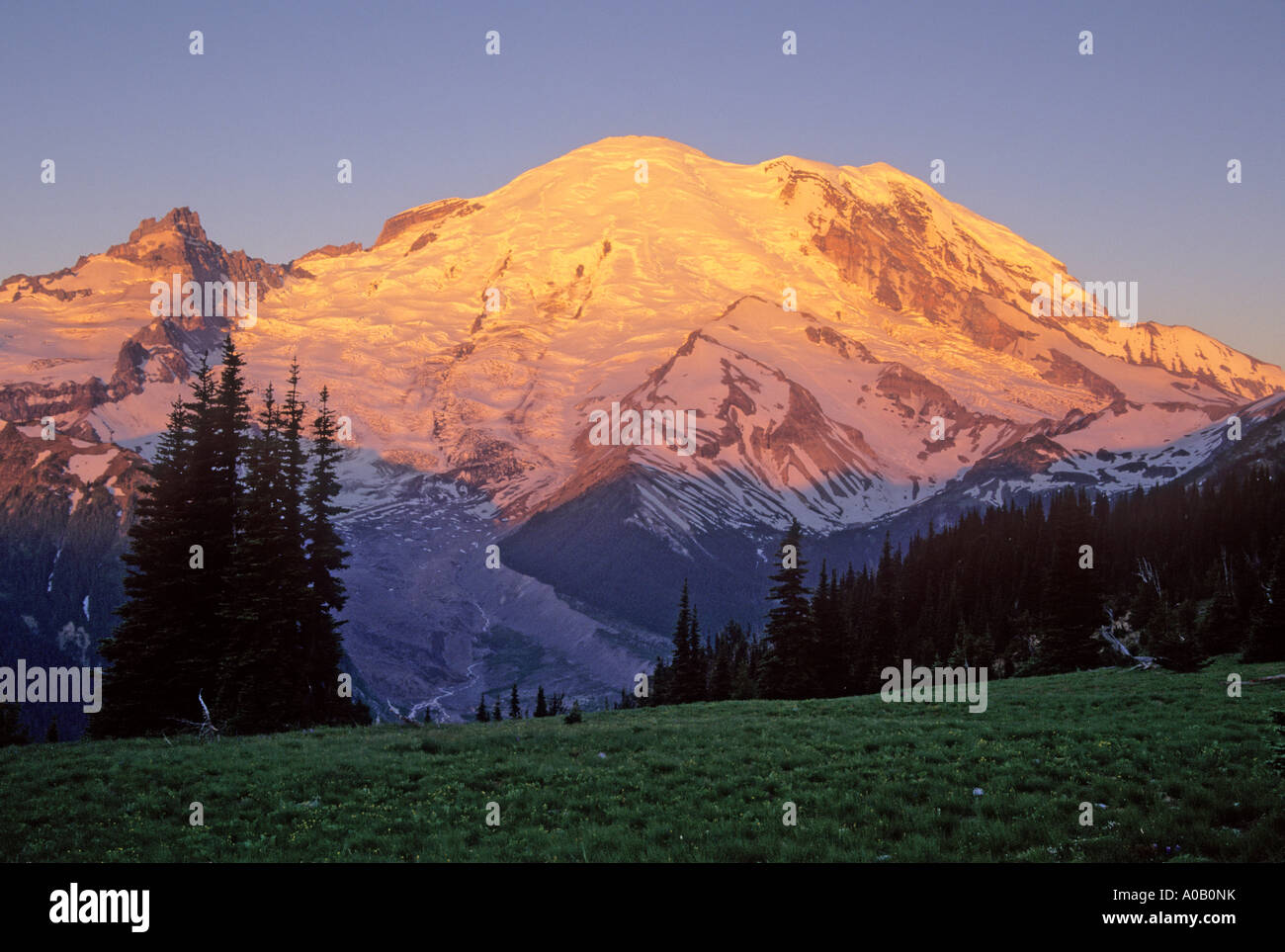 Alpenglow on Mount Rainier viewed from Sunrise, Mount Rainier National