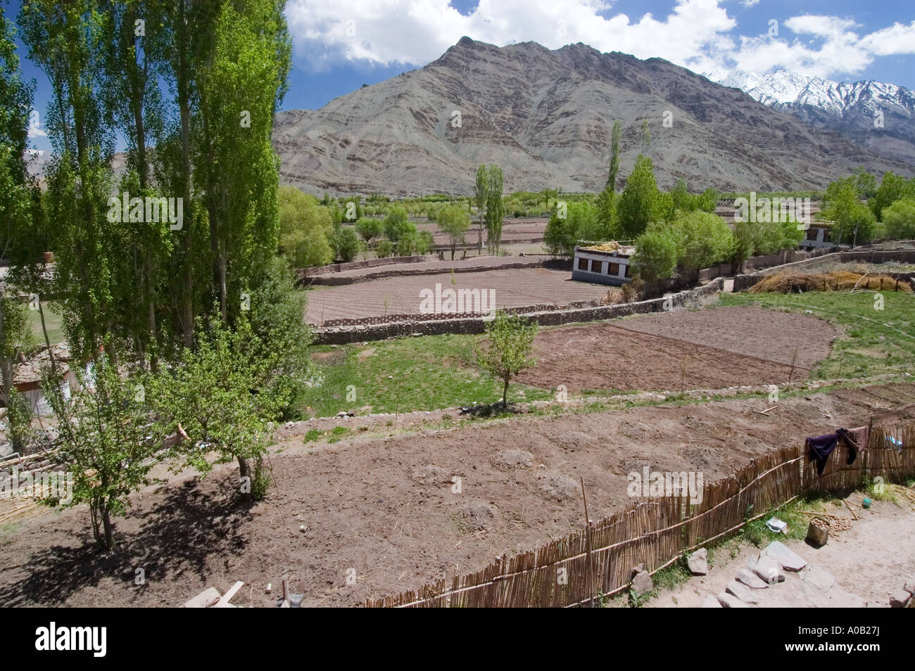 Pakistan Matho view over Matho valley Ladakh Jammu and Kashmir India Stock Photo - Alamy