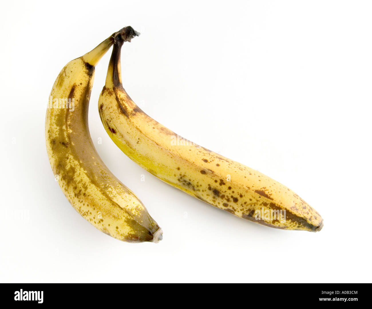 two bananas; 2 bananas; old bananas; yellow bananas; banana skin; banana; tropical fruit; pair of bananas; couple; white bg Stock Photo