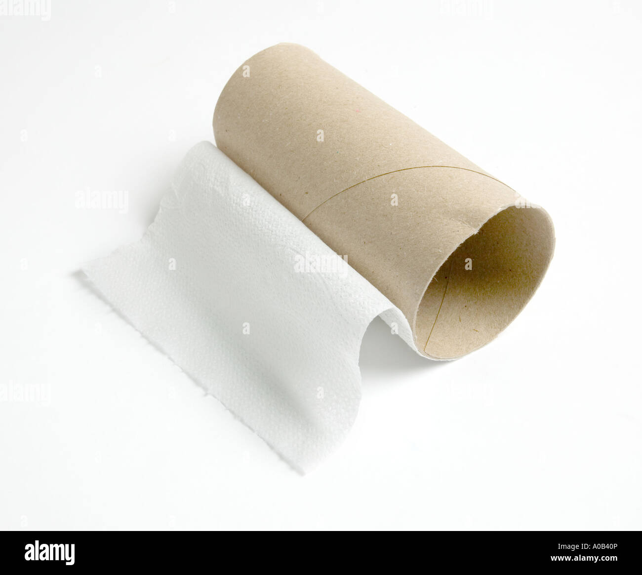 white background; cut out; toilet roll; toilet paper; toilet tissue