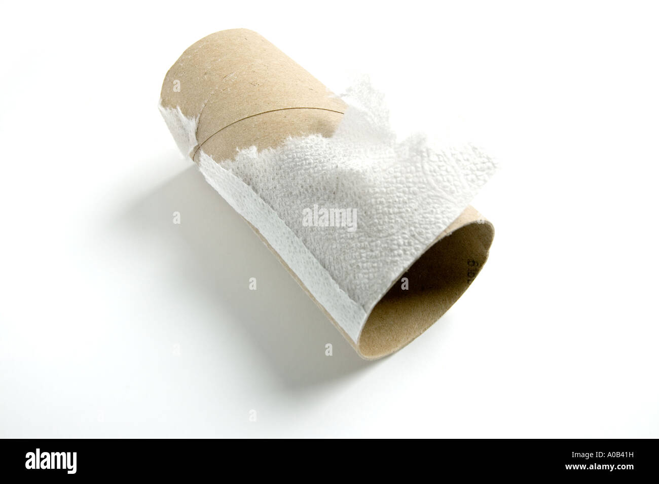 white background; cut out; toilet roll; toilet paper; toilet tissue