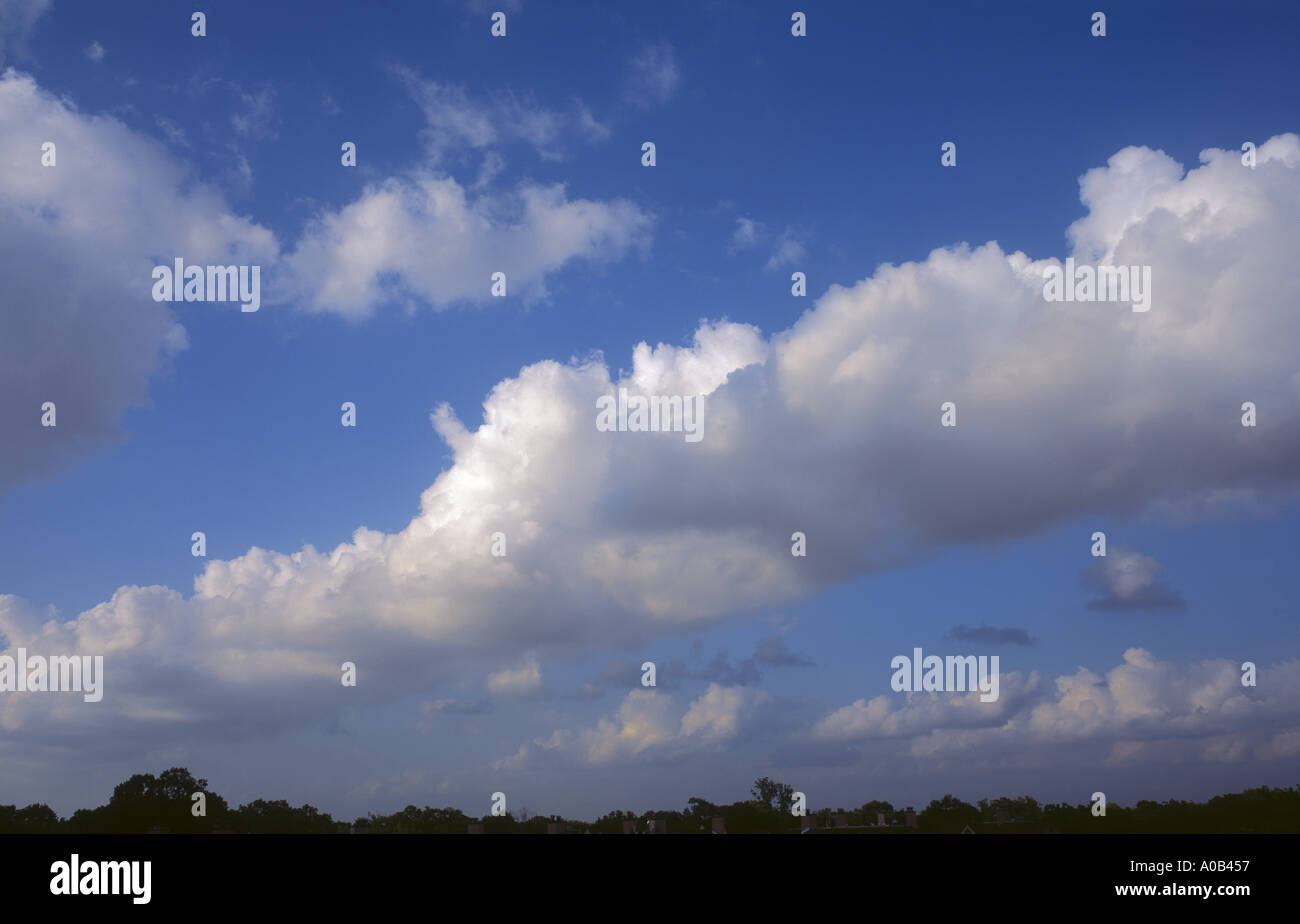 cumulus clouds Stock Photo