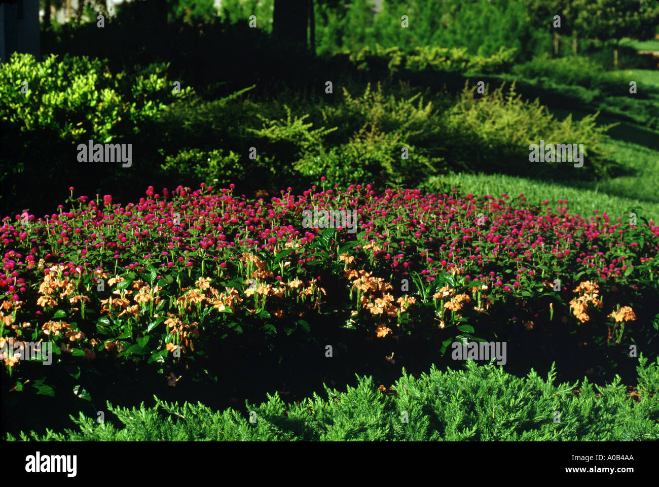 landscaping Stock Photo