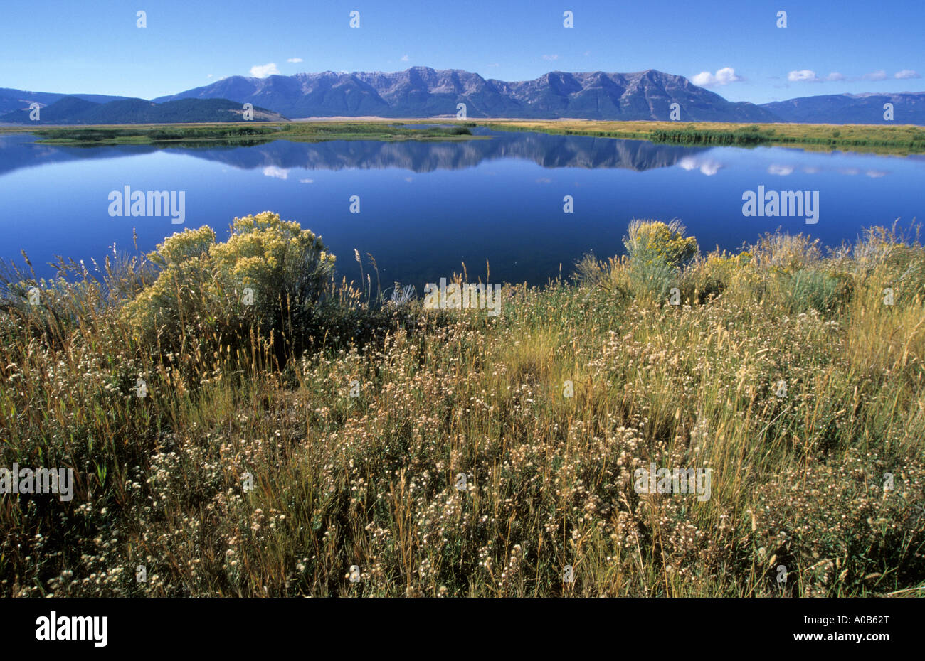 Red Rock Lakes National Wildlife Refuge Montana USA Stock Photo