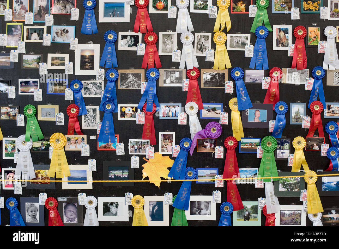 Photography contest display at county fair Stock Photo Alamy